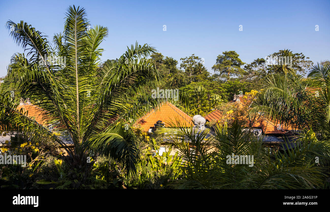 Lush nature and houses, Ubud, Bali, Indonesia, Southeast Asia, Asia