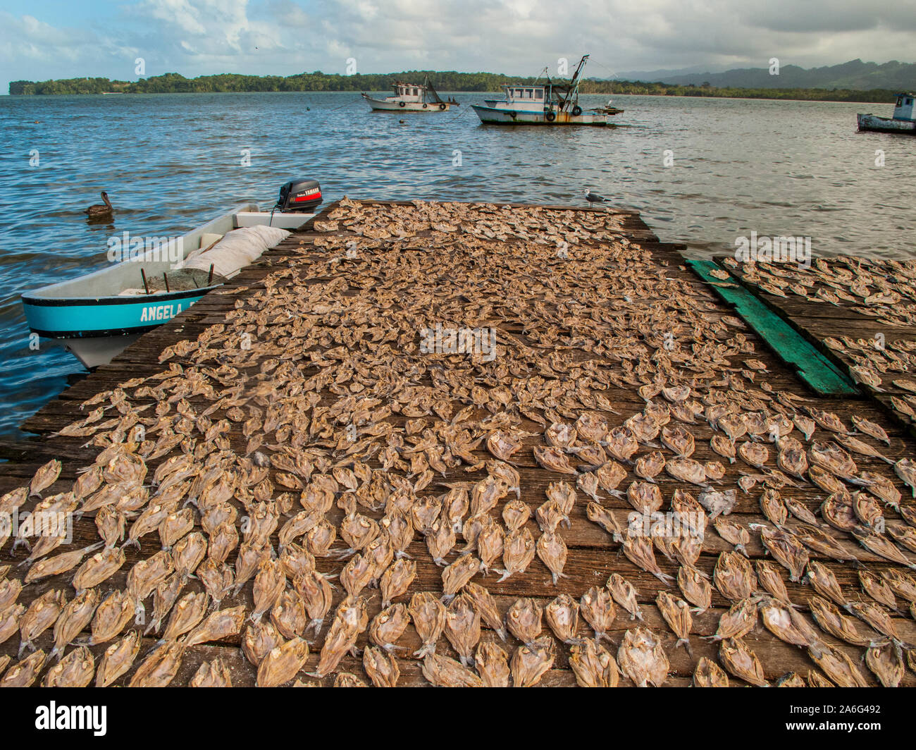 dried fish on a pier in Livingston, Guatemala Stock Photo