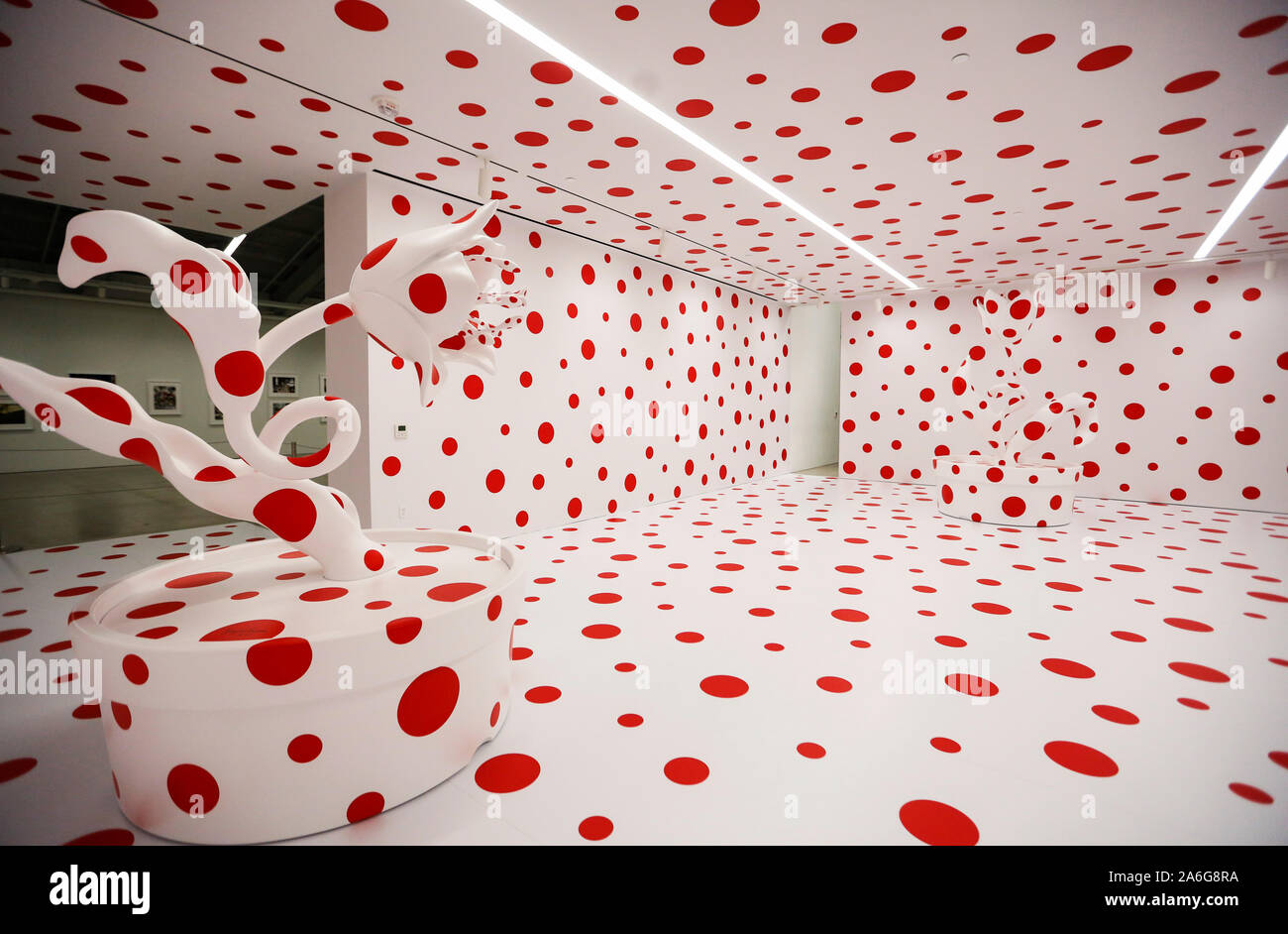 Los Angeles, USA. 25th Oct, 2019. Photo taken on Oct. 25, 2019 shows artist Yayoi Kusama's installation "With All My Love for the Tulips, I Pray Forever" in Los Angeles, the United States. "With All My Love for the Tulips, I Pray Forever" is an installation that features polka-dotted potted tulips in a room in which the walls, floor and ceiling have been covered in the same signature red polka dots. Credit: Li Ying/Xinhua/Alamy Live News Stock Photo