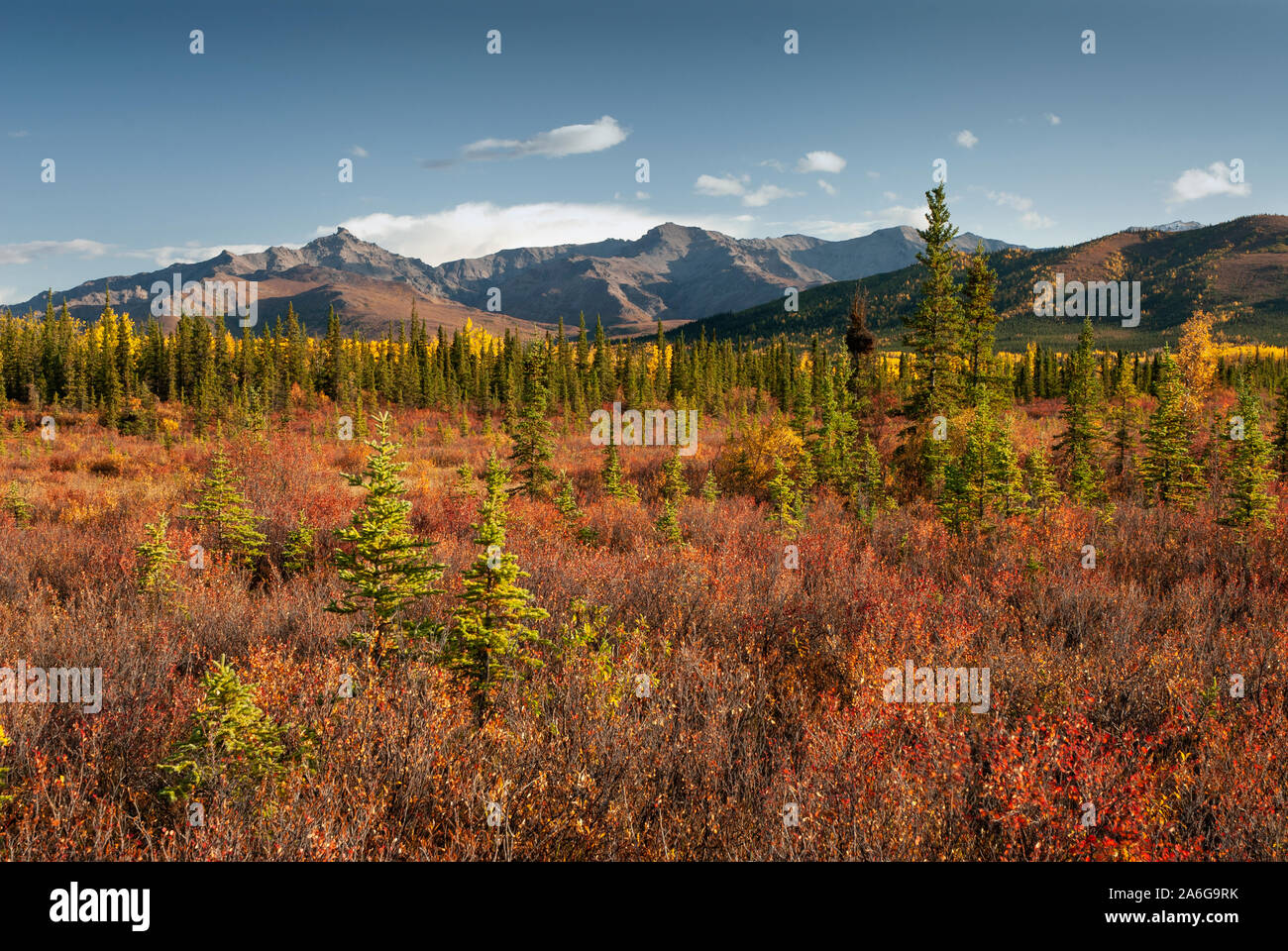 Healy ridge hires stock photography and images Alamy