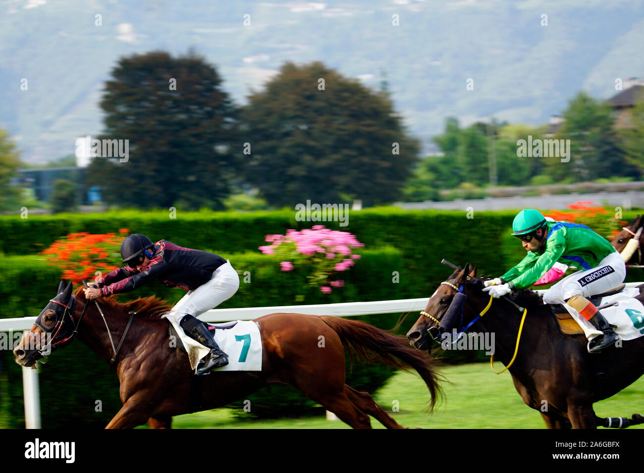 Horses racing at the Merano Grand Prize on September 28th in Italy in 2019 Stock Photo
