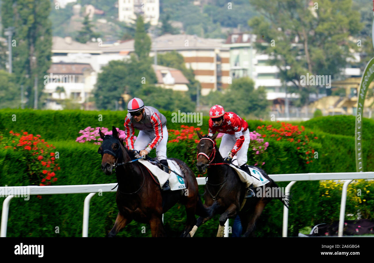 Horses racing at the Merano Grand Prize on September 28th in Italy in 2019 Stock Photo