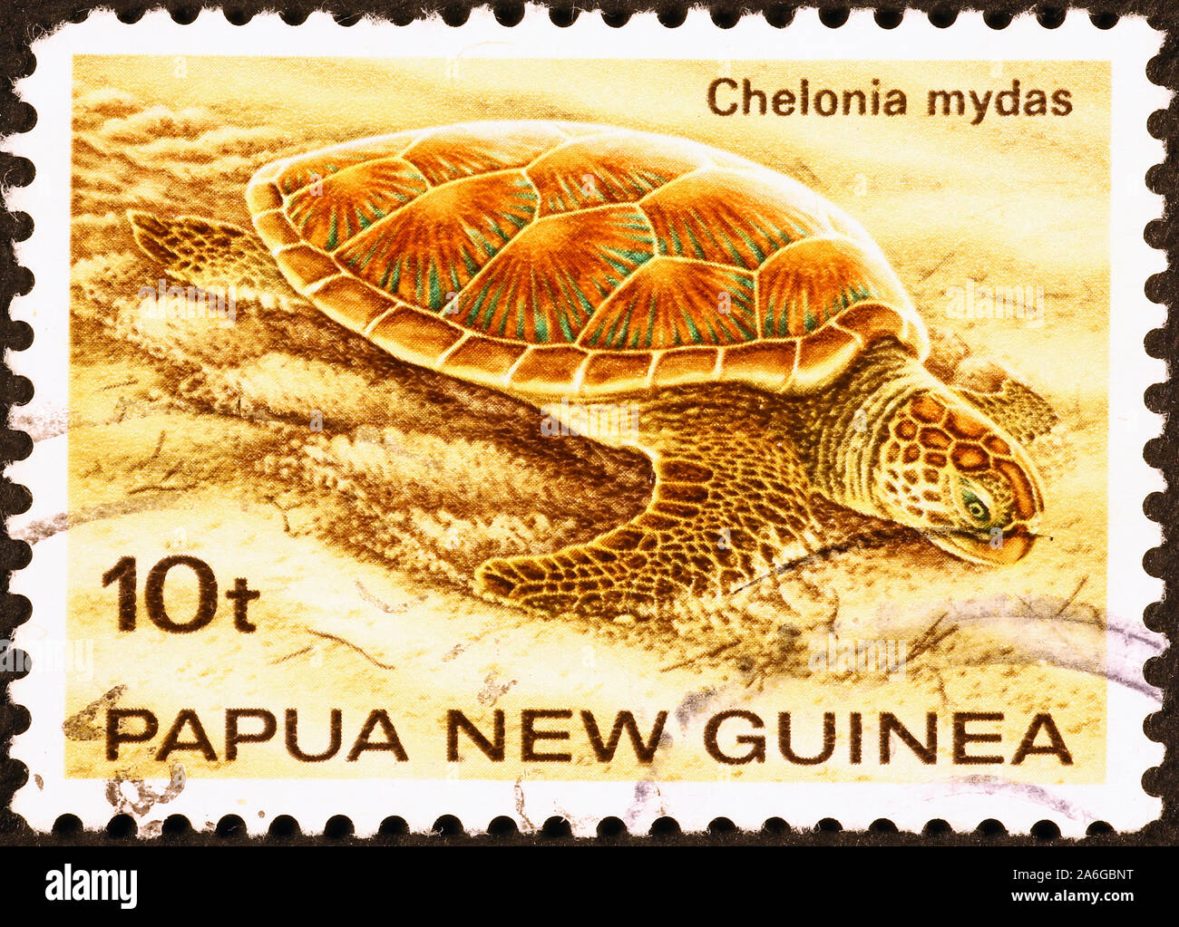 Turtle on postage stamp pf Papua New Guinea Stock Photo