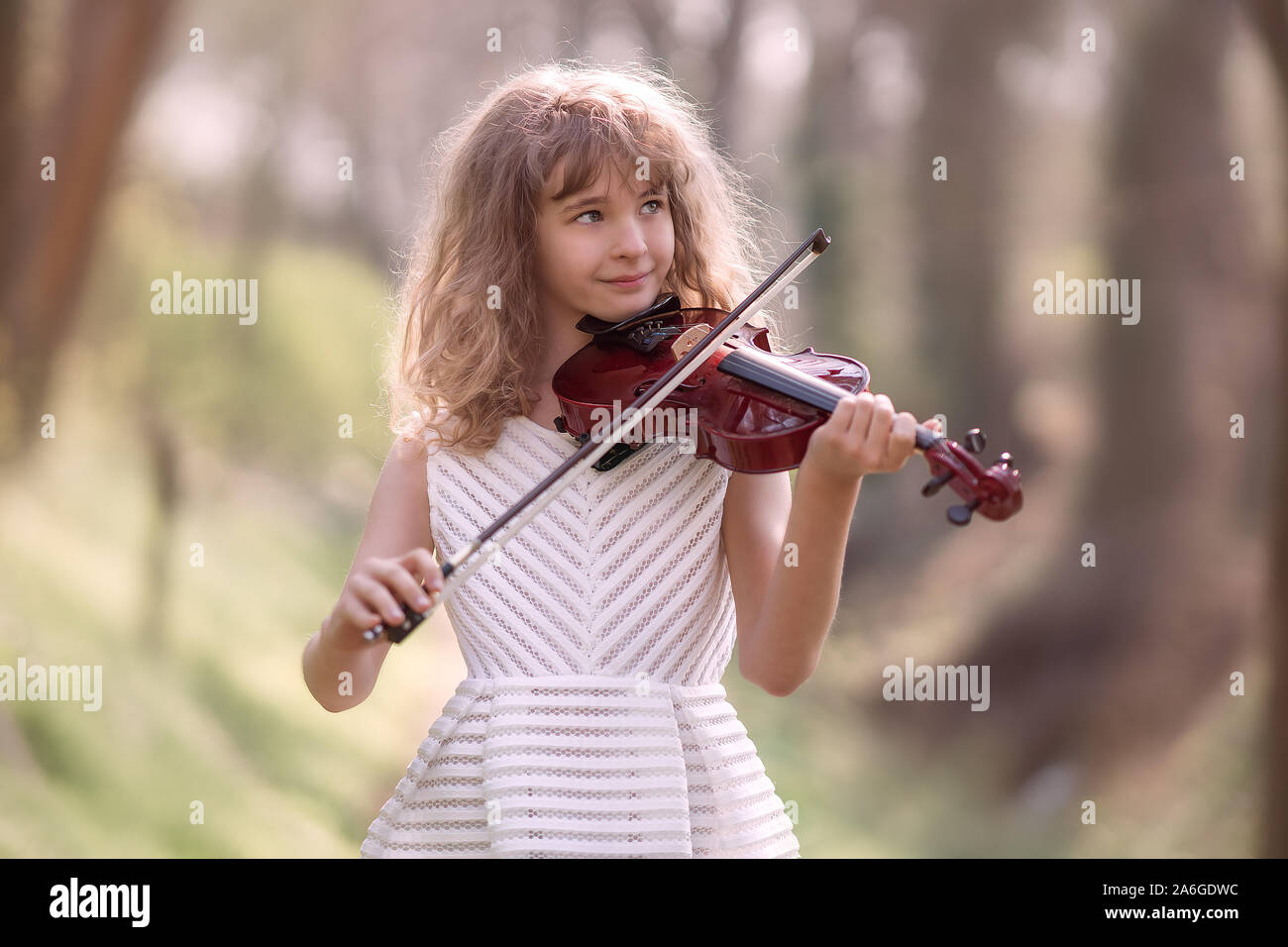 Portrait of a beautiful girl with a violin Stock Photo - Alamy