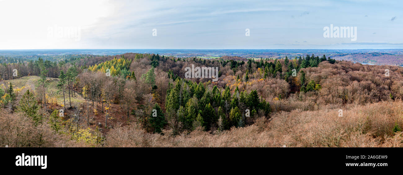 View of Kashubia from the observation tower. Forest and residential ...