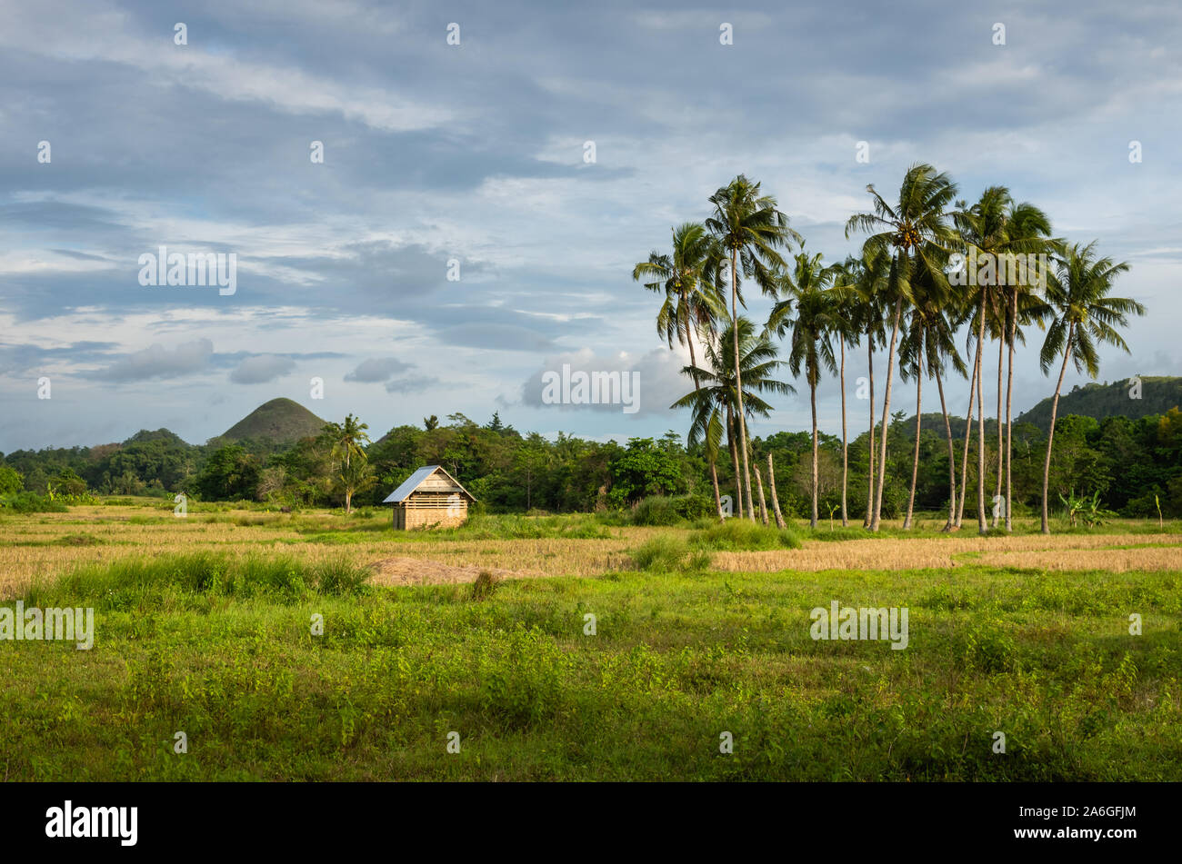 Rural landscape of Bohol Island near to Chocolate Hills, Bohol, Philippines. Stock Photo