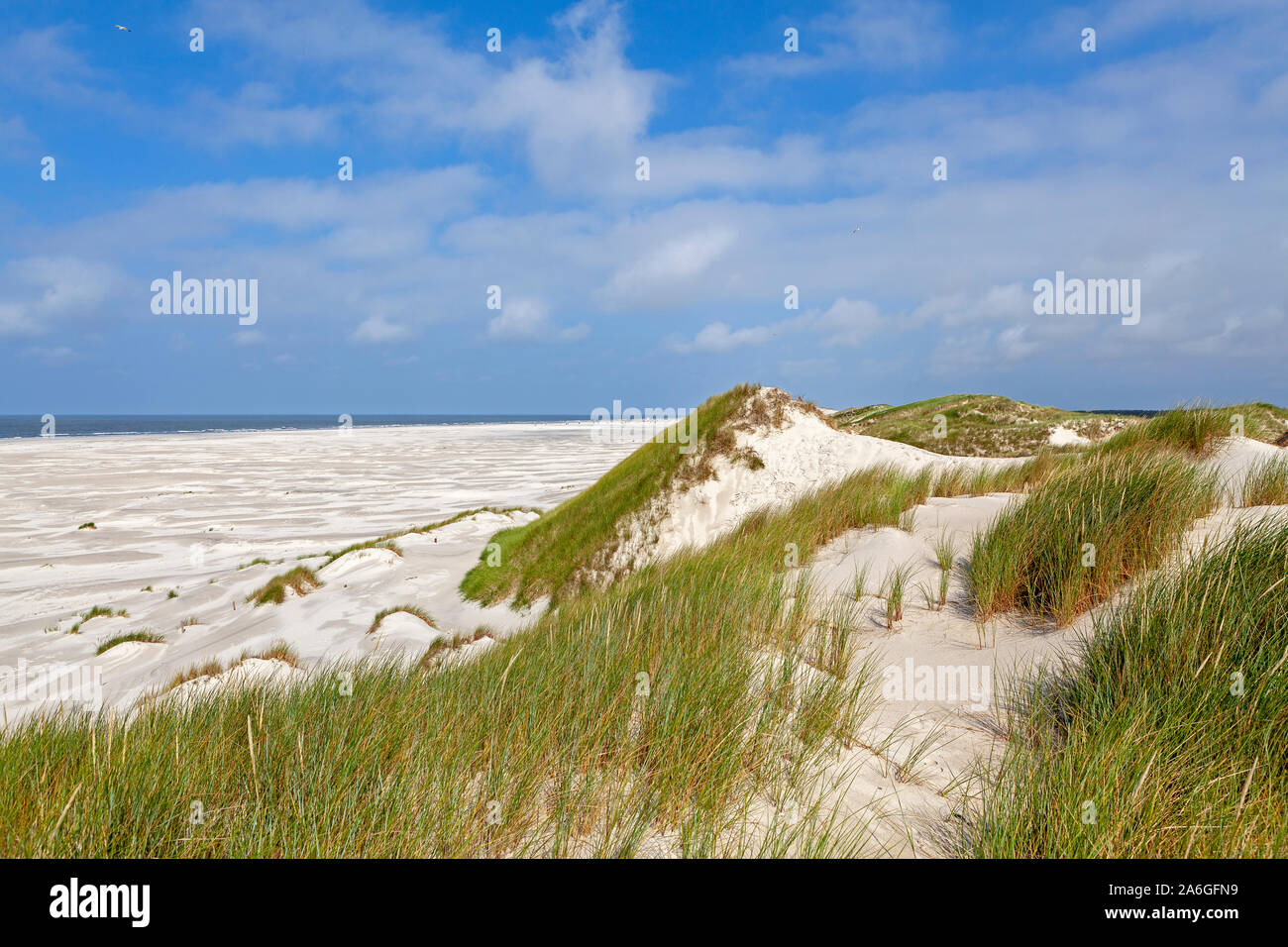 Insel amrum deutschland hi-res stock photography and images - Alamy