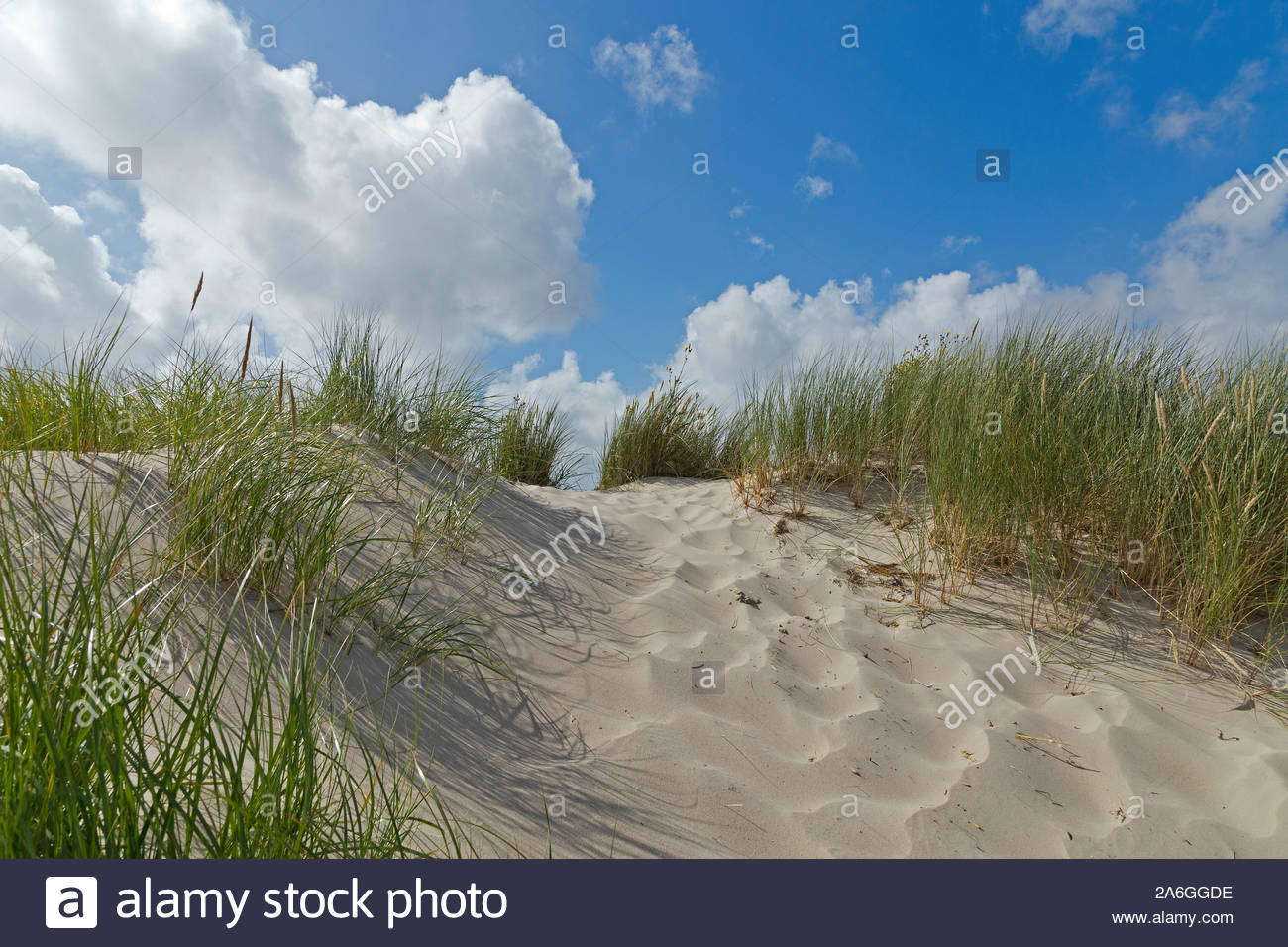 Utersum Stock Photos Utersum Stock Images Alamy