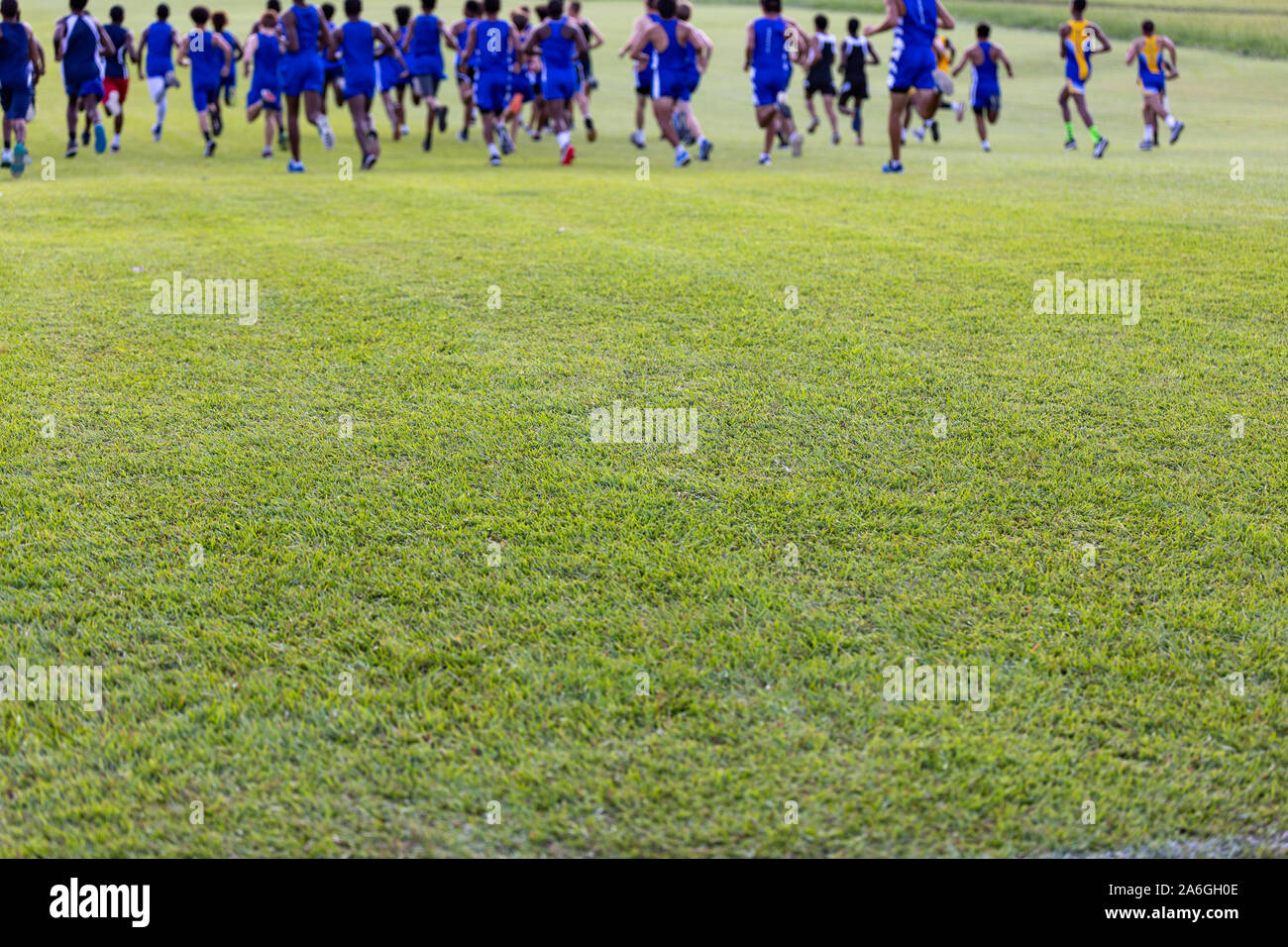 Green Field with Cross Country Race runners at top of image Stock Photo