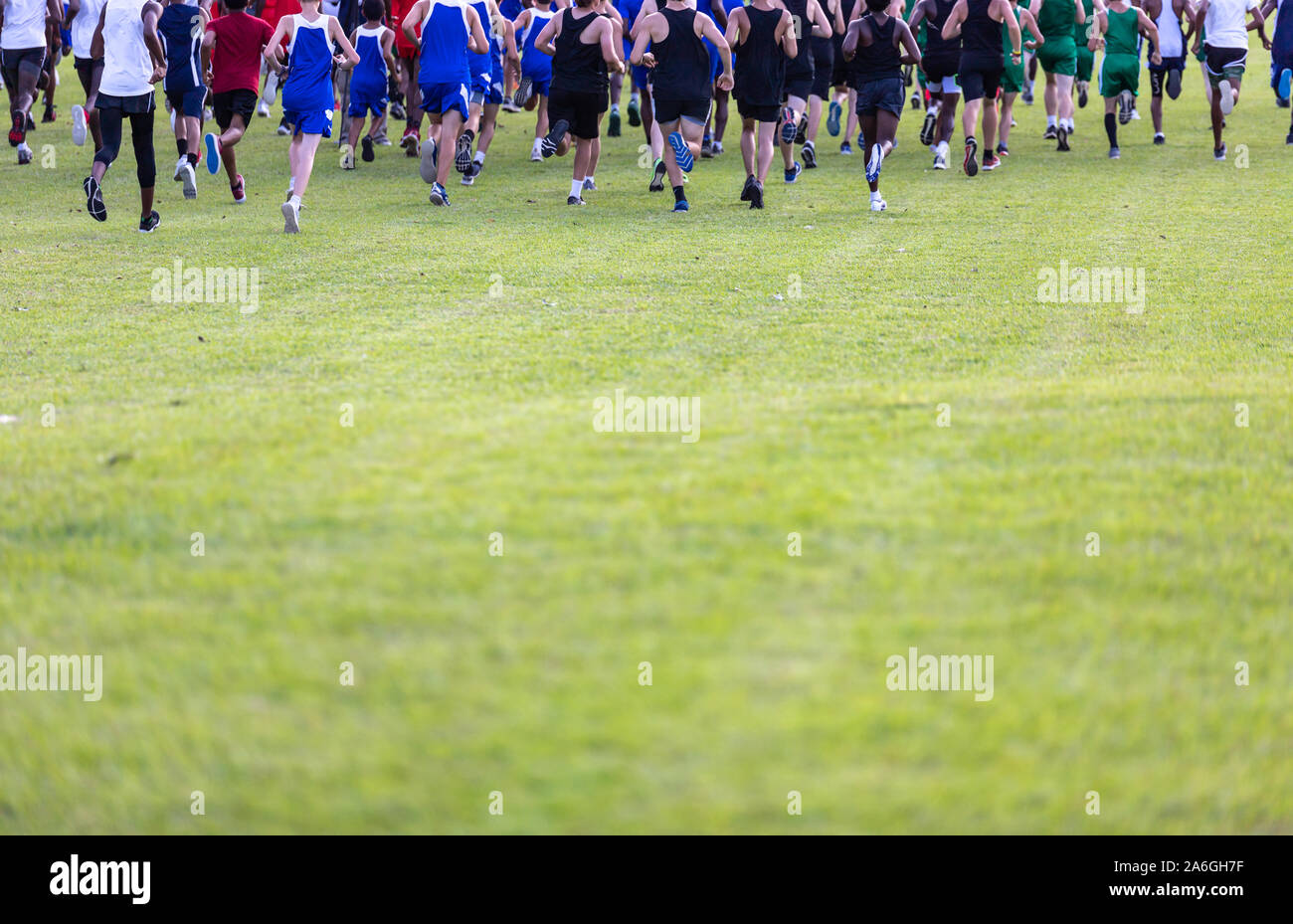 Green Field with Cross Country Race runners at top of image Stock Photo