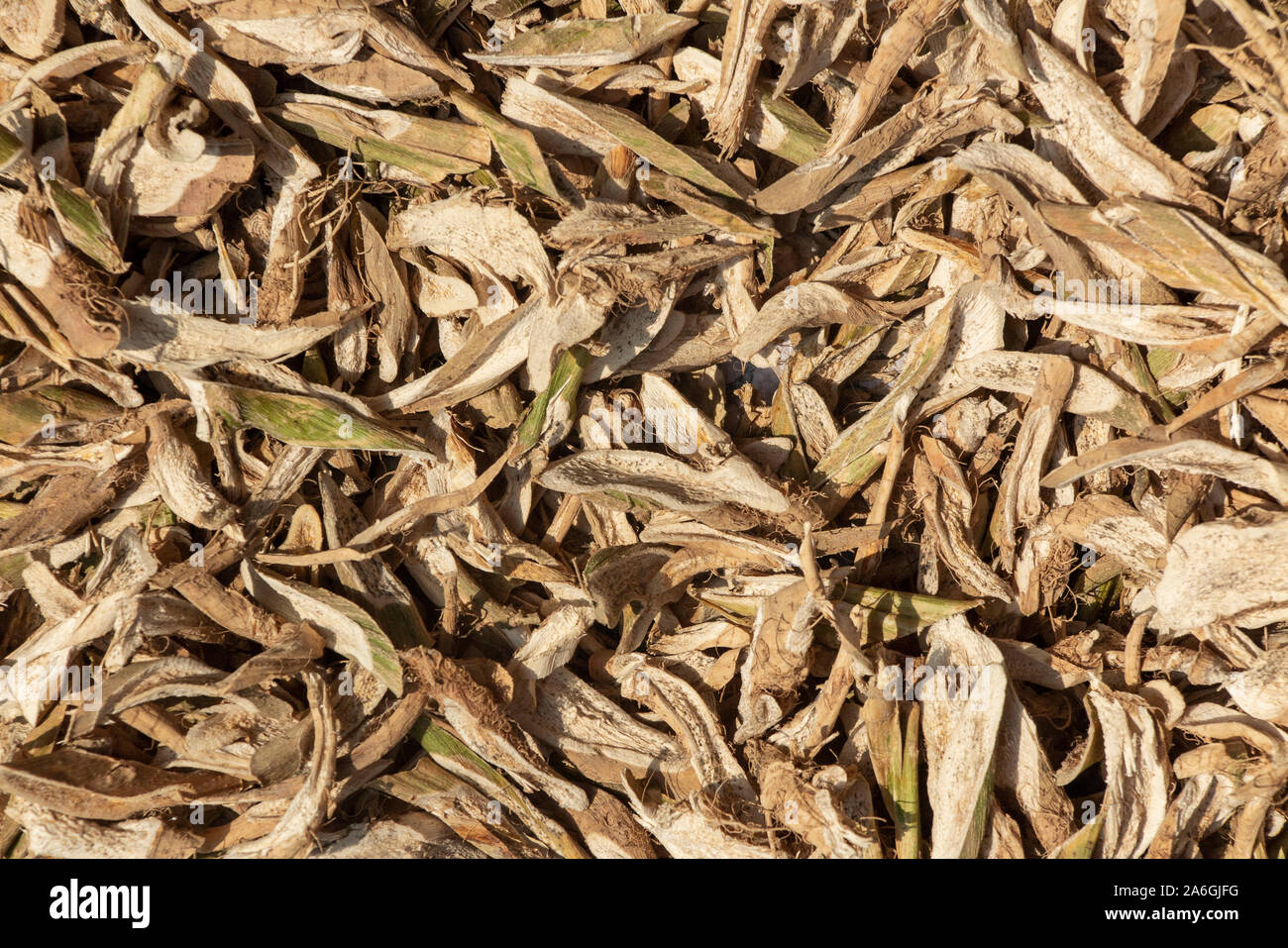 Agriculture china chinese drying hires stock photography and images