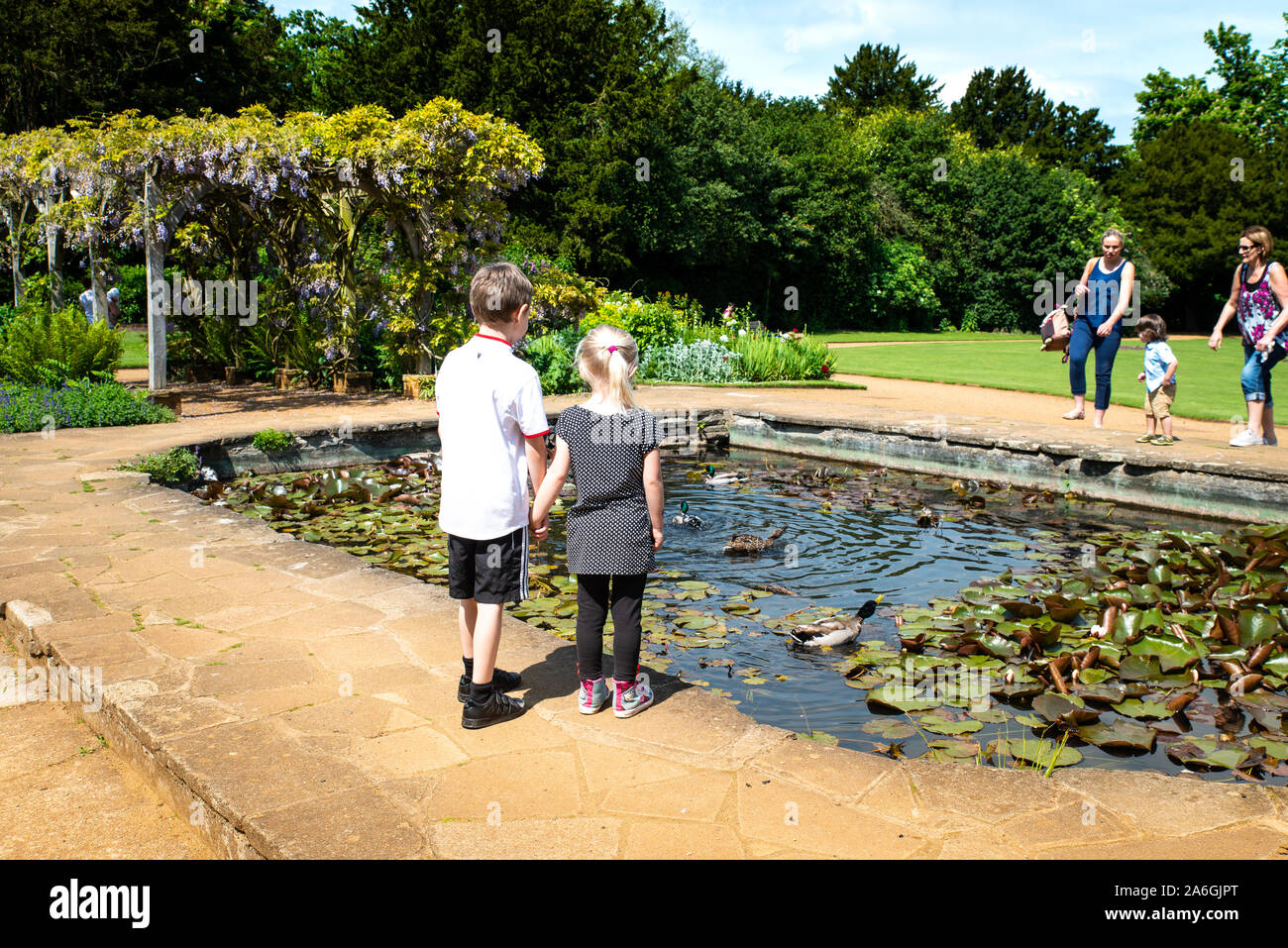 A little boy with autism, ADHD, Asperger syndrome standing by a pond with his little sister looking at the fish, Hylands park, house, Chelmsford Stock Photo