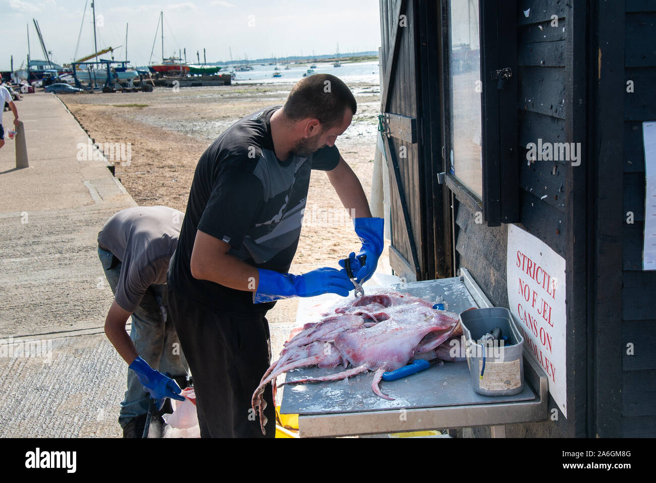 Fisherman prepare their catch of fresh fish ready for waiting customers, real fisherman and fresh fish Stock Photo