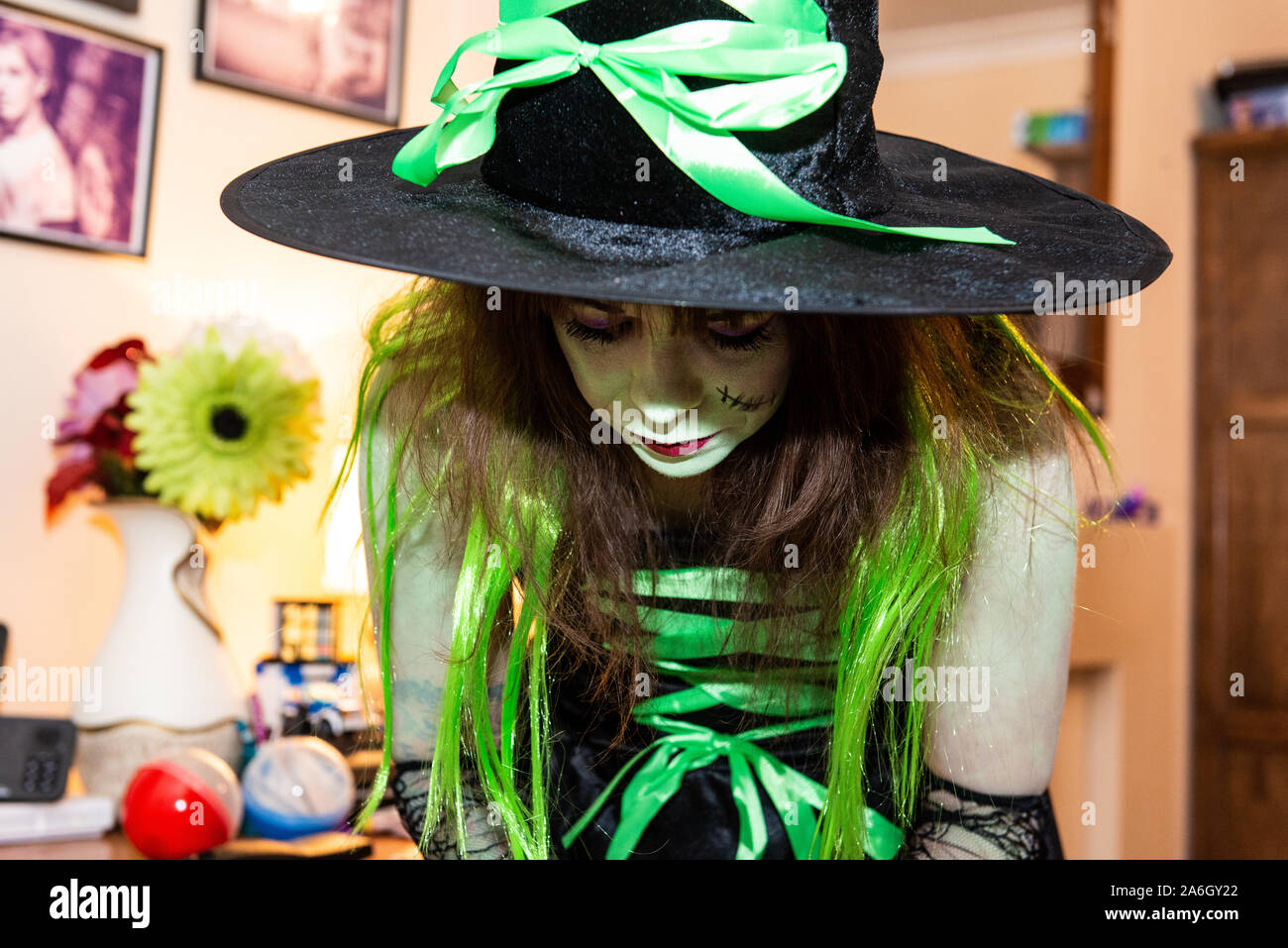 Wicked Witch Costume & Makeup