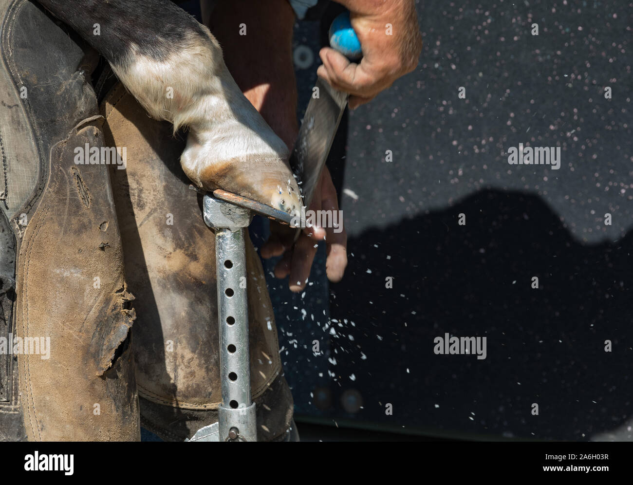 Horse shoe nails hires stock photography and images Alamy
