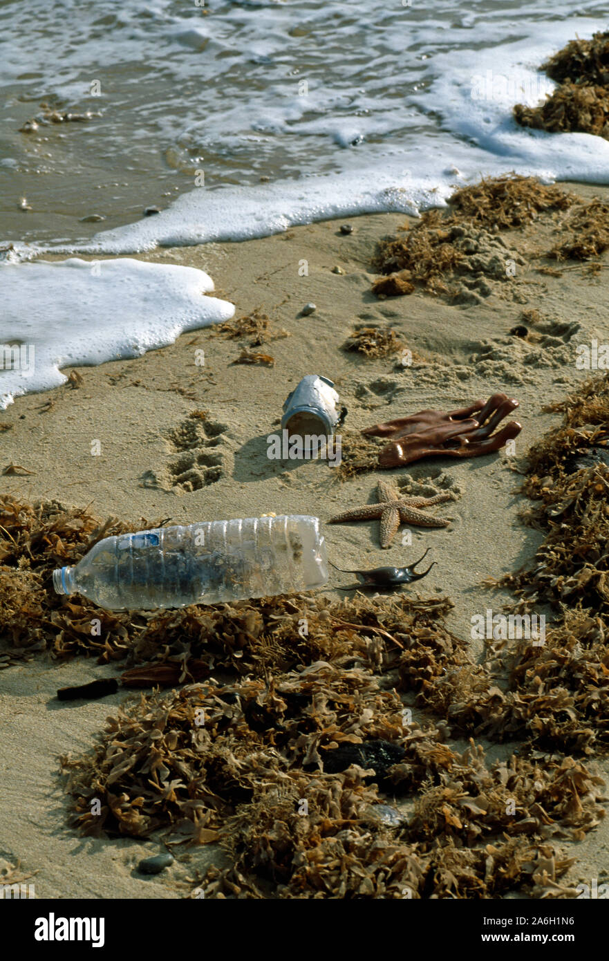 TIDE LINE & POLLUTION plastic, rubber, items, articles, sea life, wildlife, dispersal on a SEASIDE Beach, Norfolk, England, UK. Health hygiene results. Stock Photo