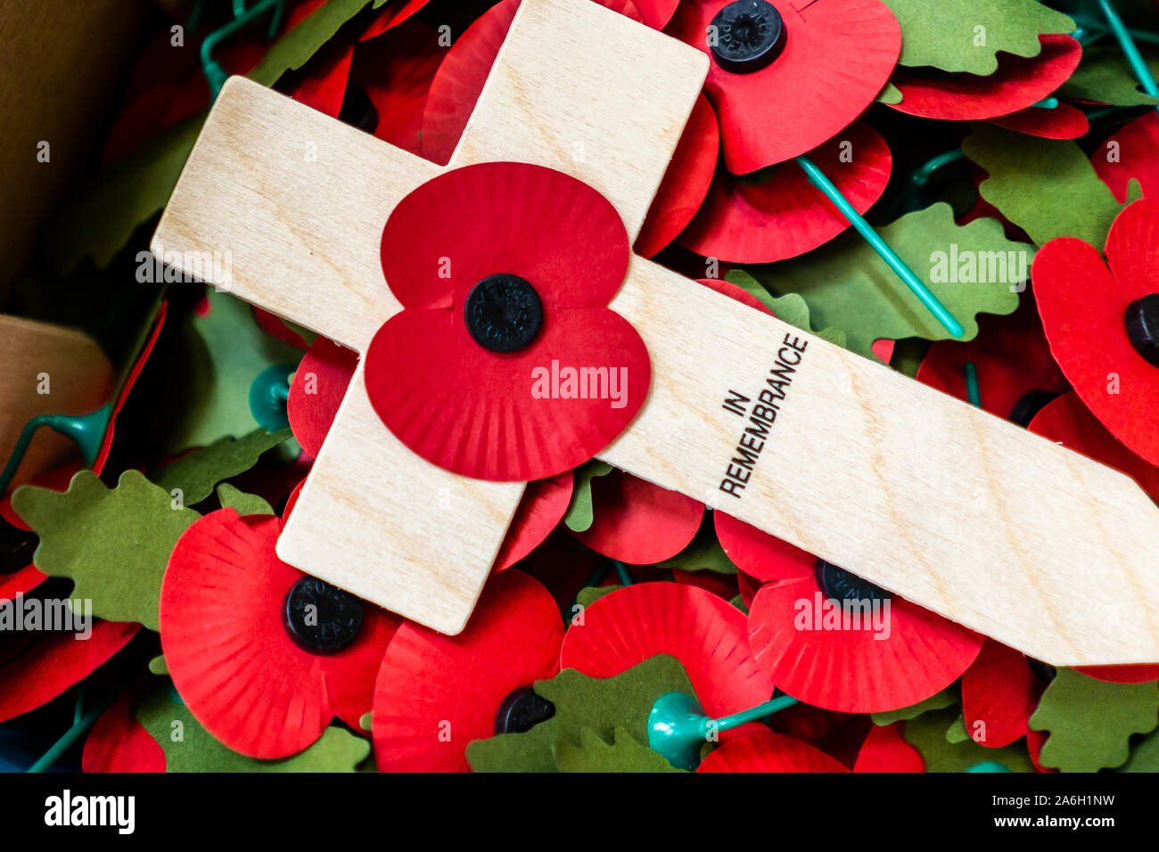 Poppies on Crosses for the Royal British Legion Poppy Appeal are collected at a secret location and counted by volunteers, in remembrance, RBL, Poppy Stock Photo