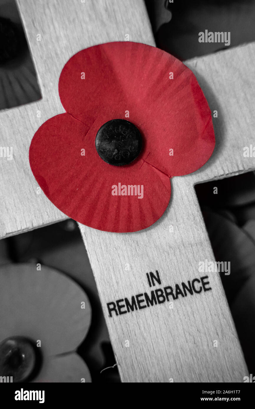 Poppies on Crosses for the Royal British Legion Poppy Appeal are collected at a secret location