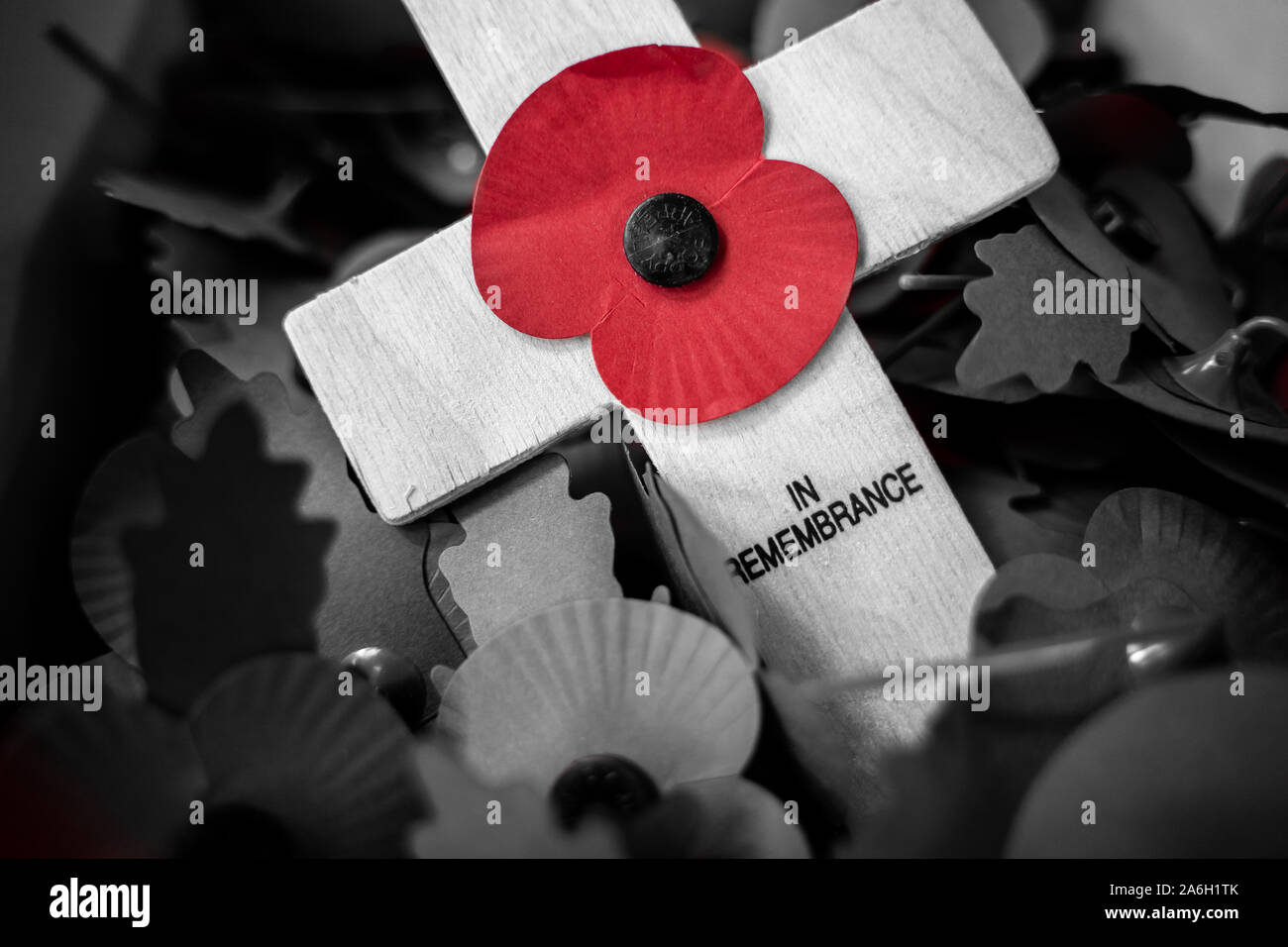 Poppies on Crosses for the Royal British Legion Poppy Appeal are collected at a secret location and counted by volunteers, in remembrance, RBL, Poppy Stock Photo