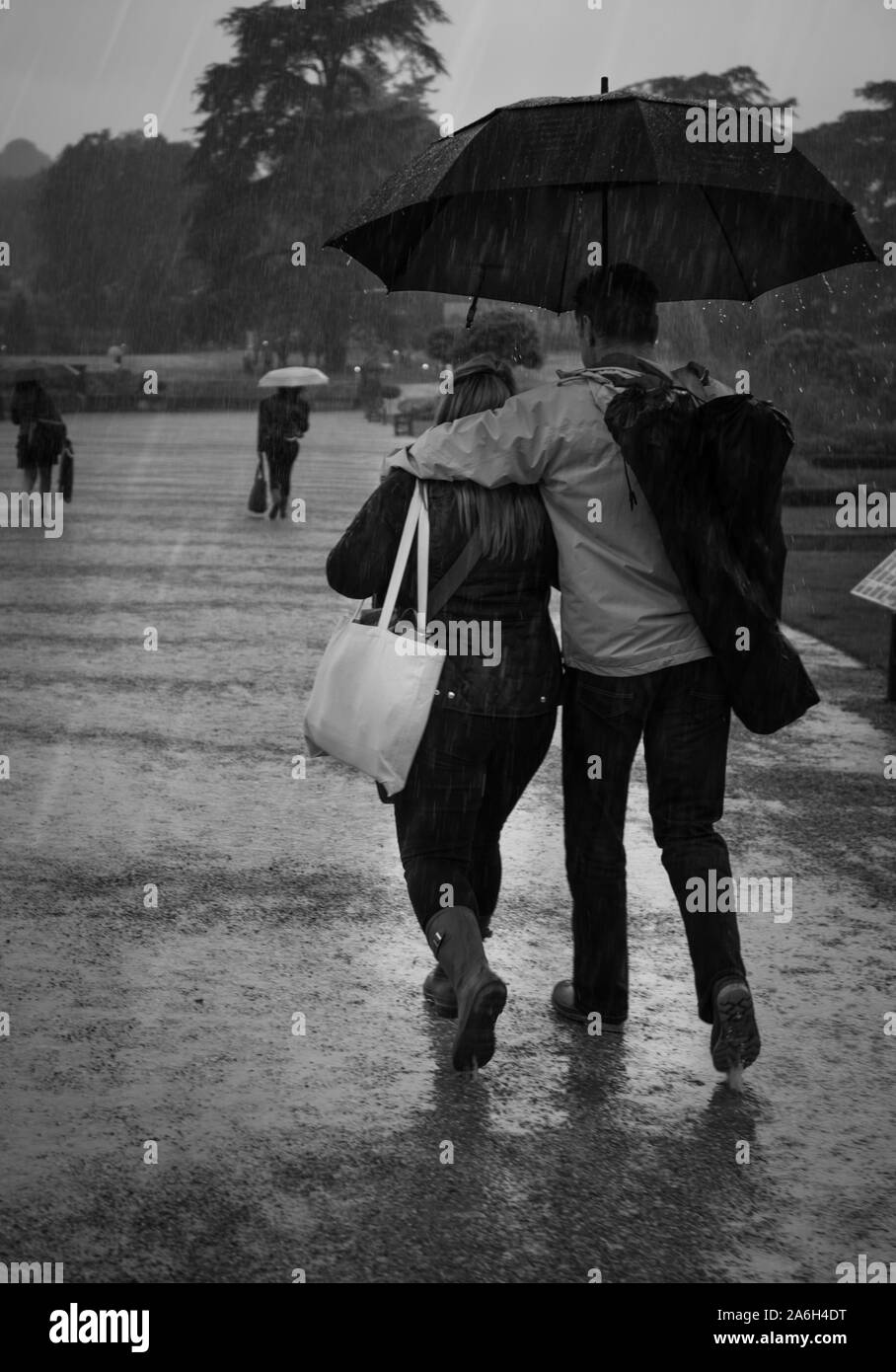 A couple walk in heavy rain under an umbrella Stock Photo