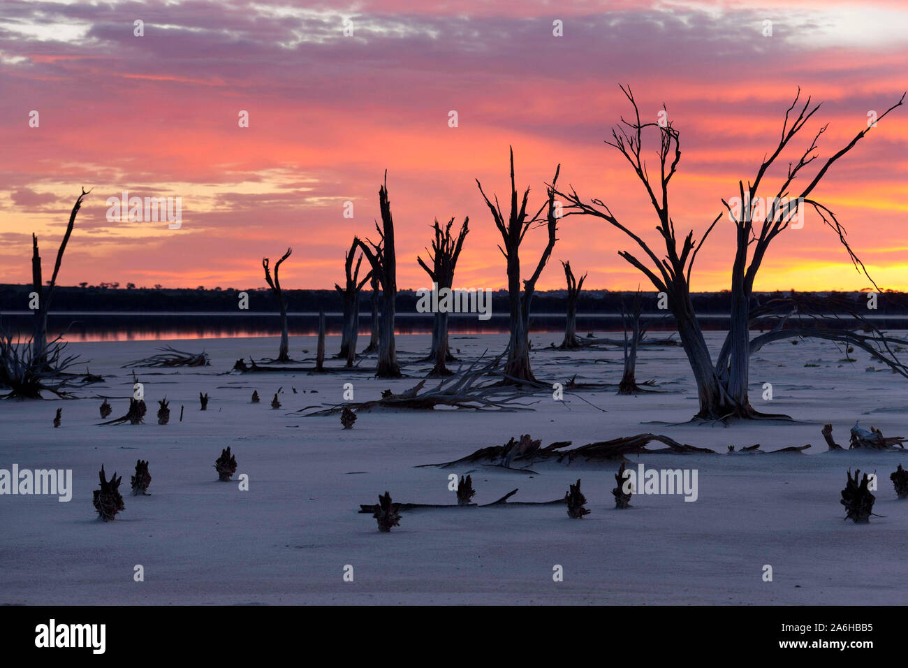 Lake Ninan Salt Lake, Victoria Plains  Western Australia Stock Photo