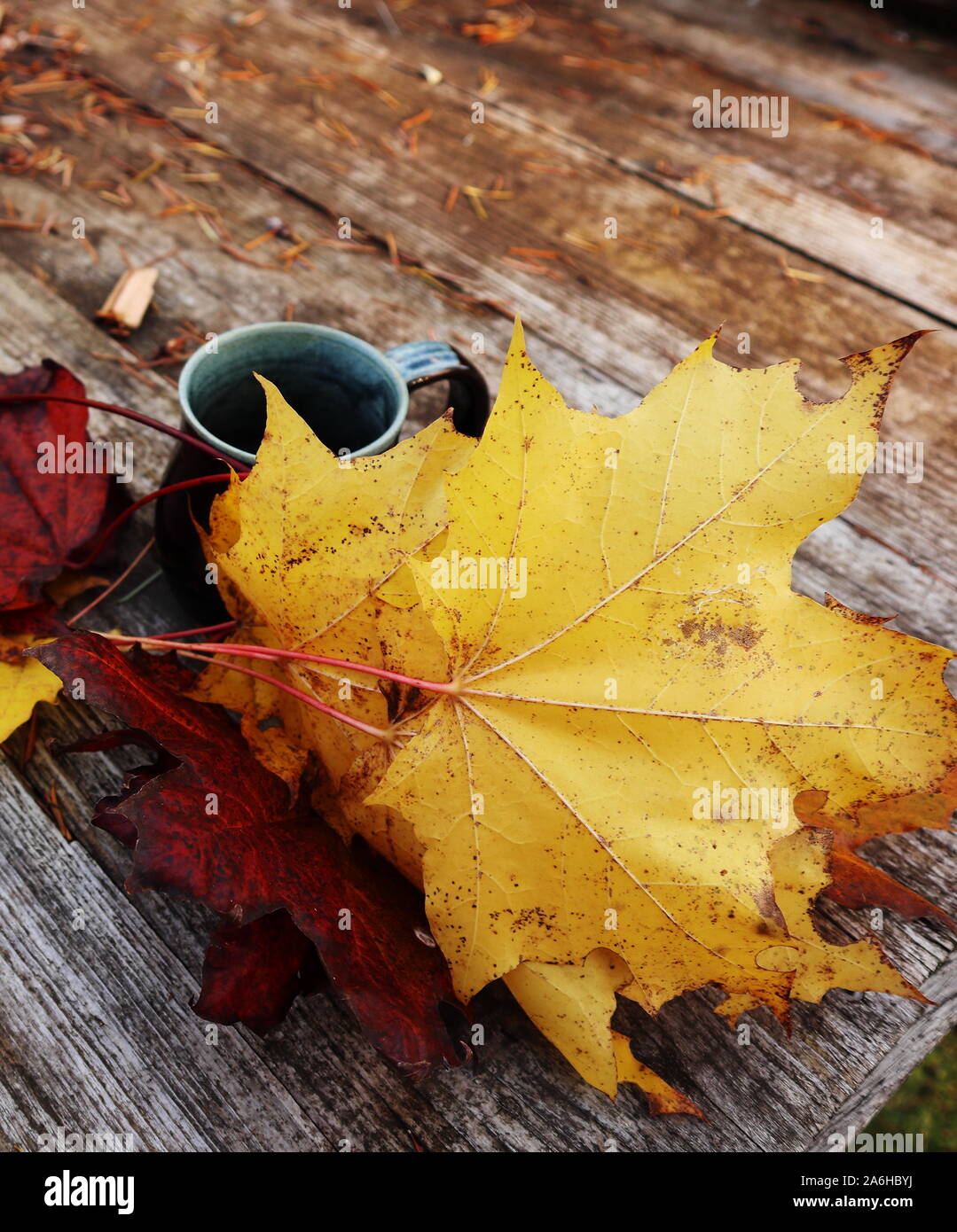 a black mug on a rustic wooden table with colourful autumn leaves blowing around. Stock Photo