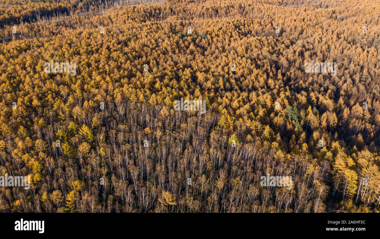 Top view of the taiga forest, river, road . The vast expanses of 