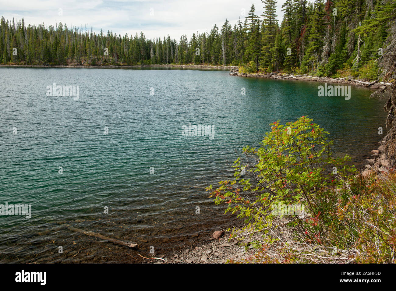 Lower Lake, one of dozens of alpine lakes in the Olallie Lake Scenic Area, is a short half-mile hike on Fish Lake Trail #717 Stock Photo