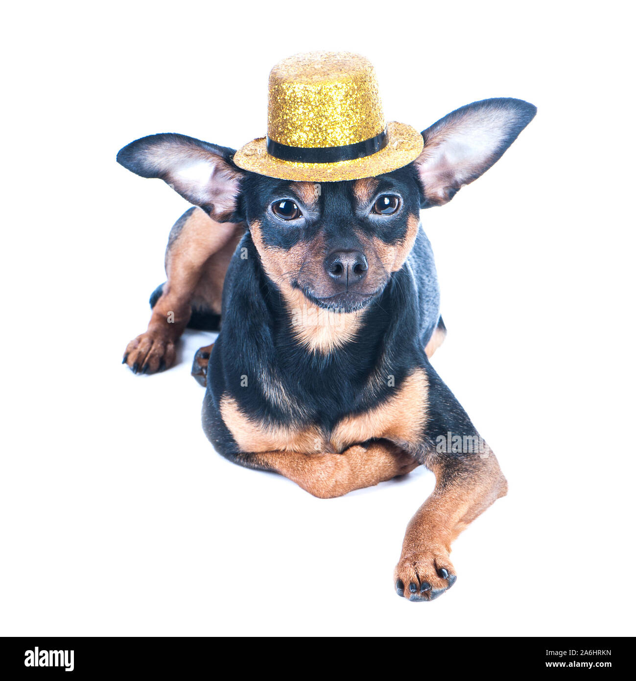 Russian boy in hat Cut Out Stock Images Pictures Alamy