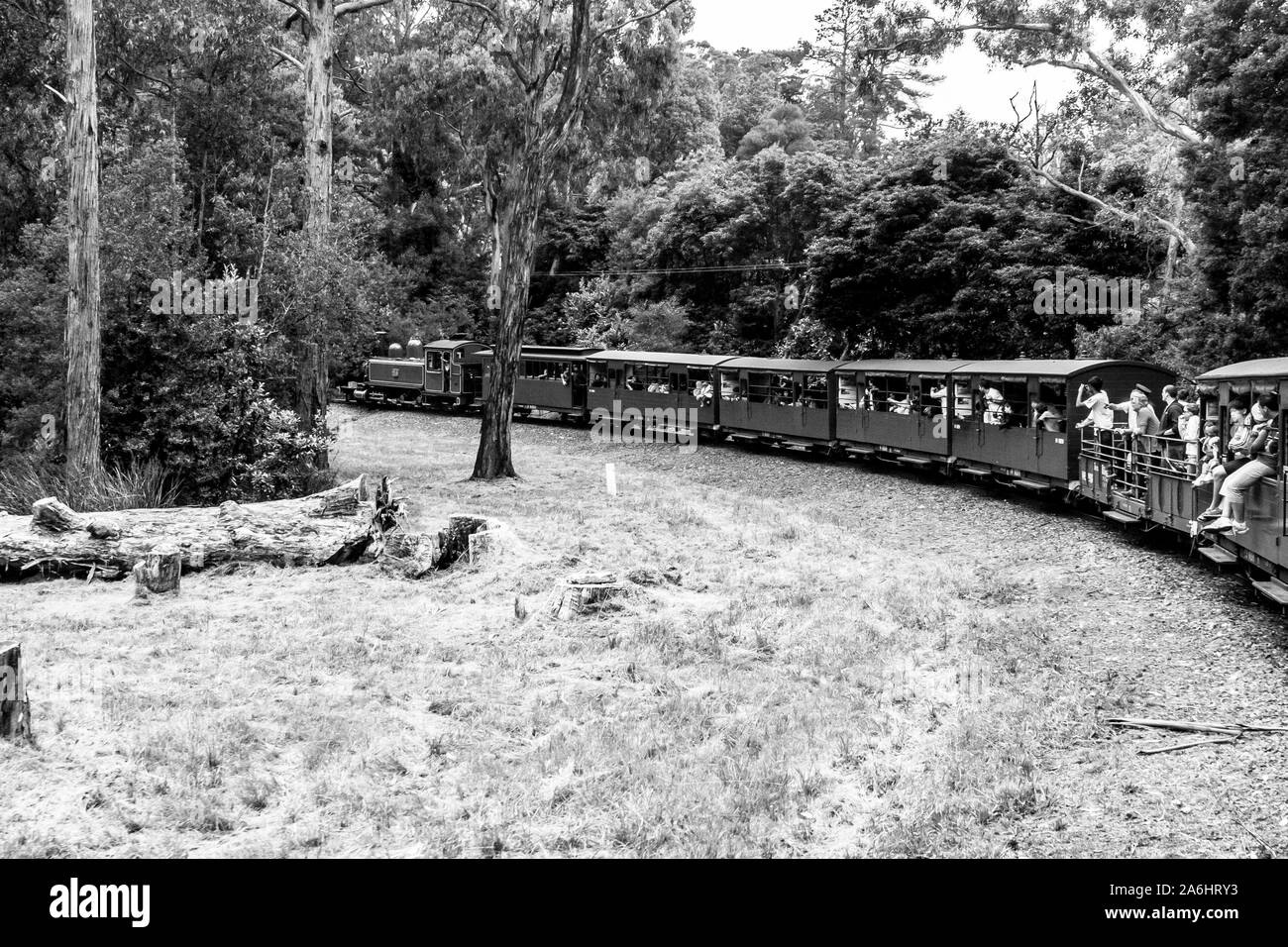 Melbourne, Australia - January 7, 2009: Puffing Billy steam train with passengers. Historical narrow railway in the Dandenong Ranges near Melbourne. Stock Photo