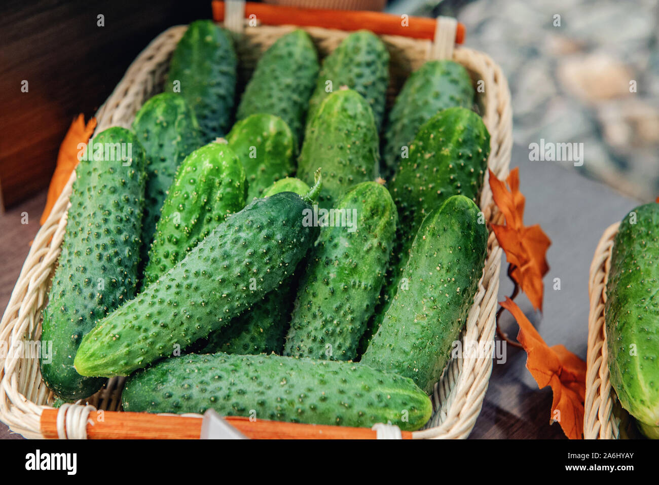 Огурцы сорт хрустящий. Огурец погребок f1. Огурцы доллар f1. Седек огурец аллигатор f1. Огурцы сорт хрустящий.