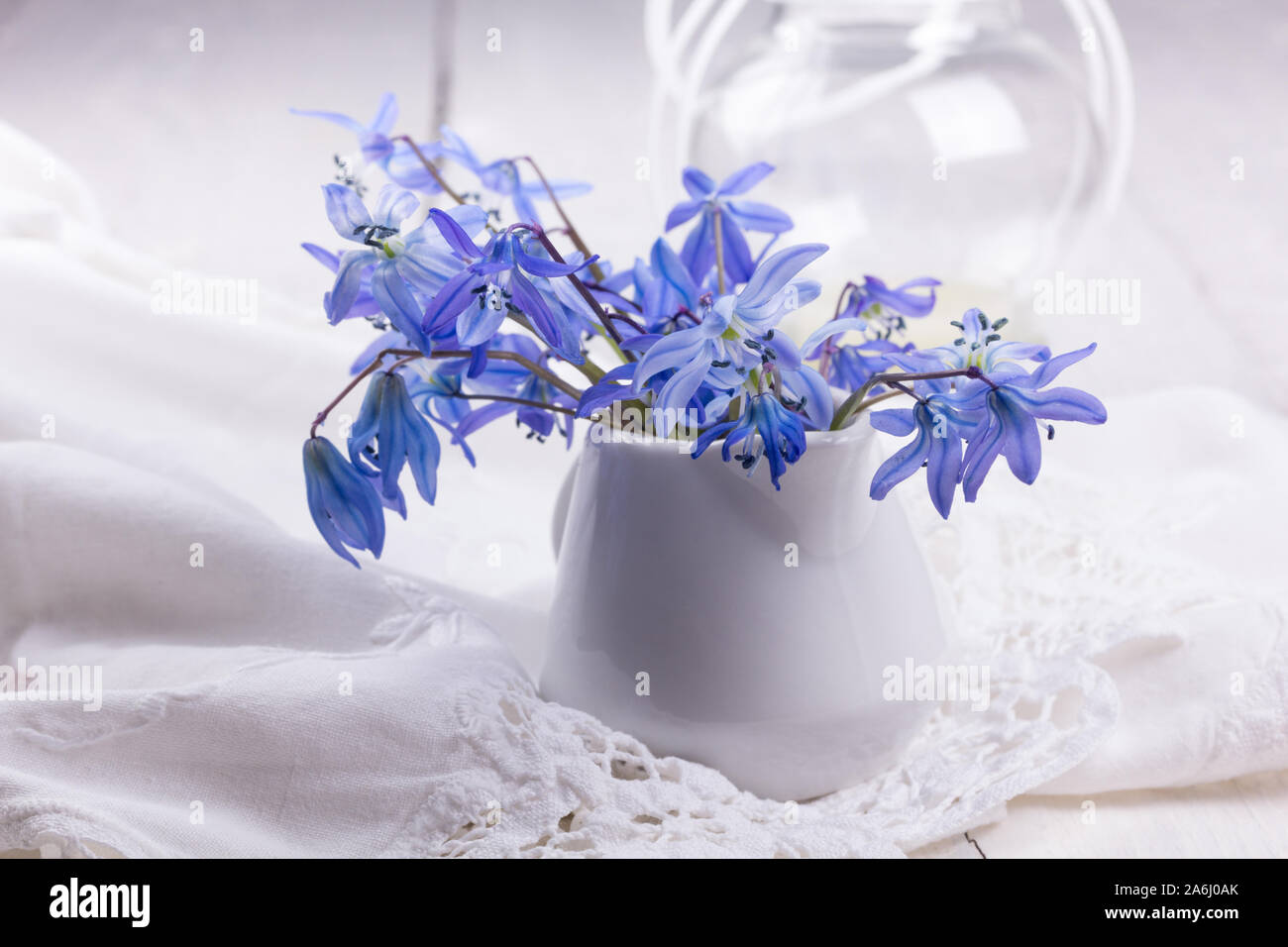 Spring blue snowdrops on a white background Stock Photo - Alamy