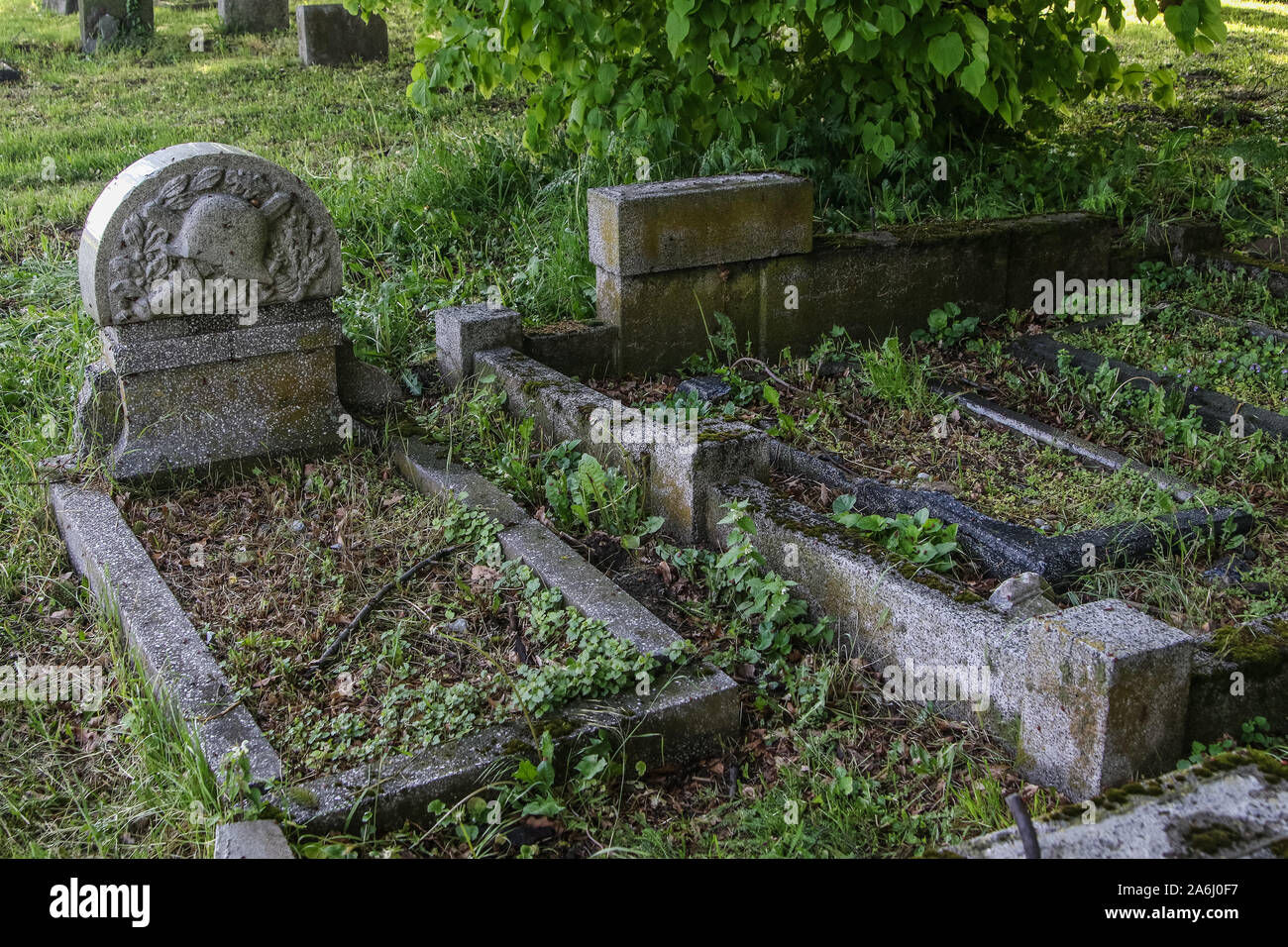 The Mennonite Cemetery area is seen in Stogi Malborskie, Poland, on 18 May 2019 Village of Stogi was founded in 1562 in the area of Zulawy Wielkie, and 3 years later was leased to Dutch settlers, the Mennonites. Mennonites are adherents of a religious movement, a faction of Anabaptism, which was founded in the Netherlands in the 16th Century © Michal Fludra / Alamy Live News Stock Photo