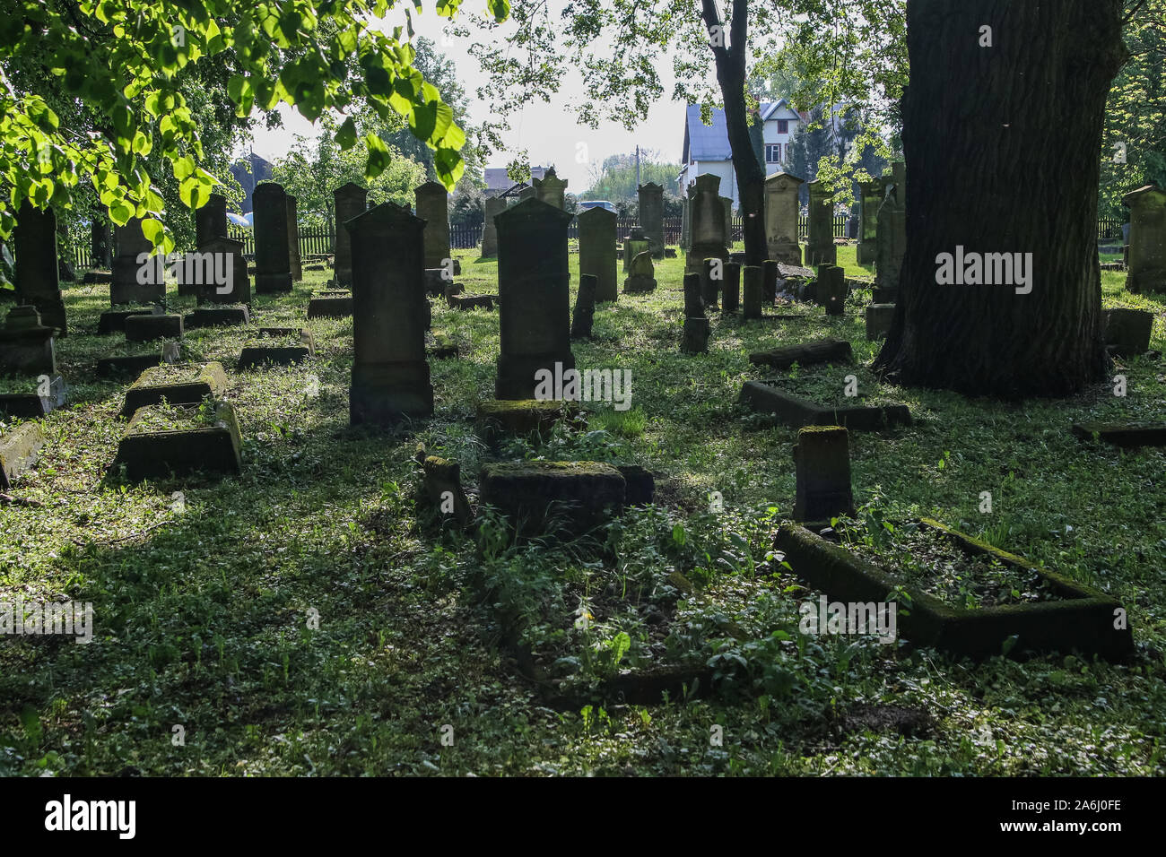 The Mennonite Cemetery area is seen in Stogi Malborskie, Poland, on 18 May 2019 Village of Stogi was founded in 1562 in the area of Zulawy Wielkie, and 3 years later was leased to Dutch settlers, the Mennonites. Mennonites are adherents of a religious movement, a faction of Anabaptism, which was founded in the Netherlands in the 16th Century © Michal Fludra / Alamy Live News Stock Photo