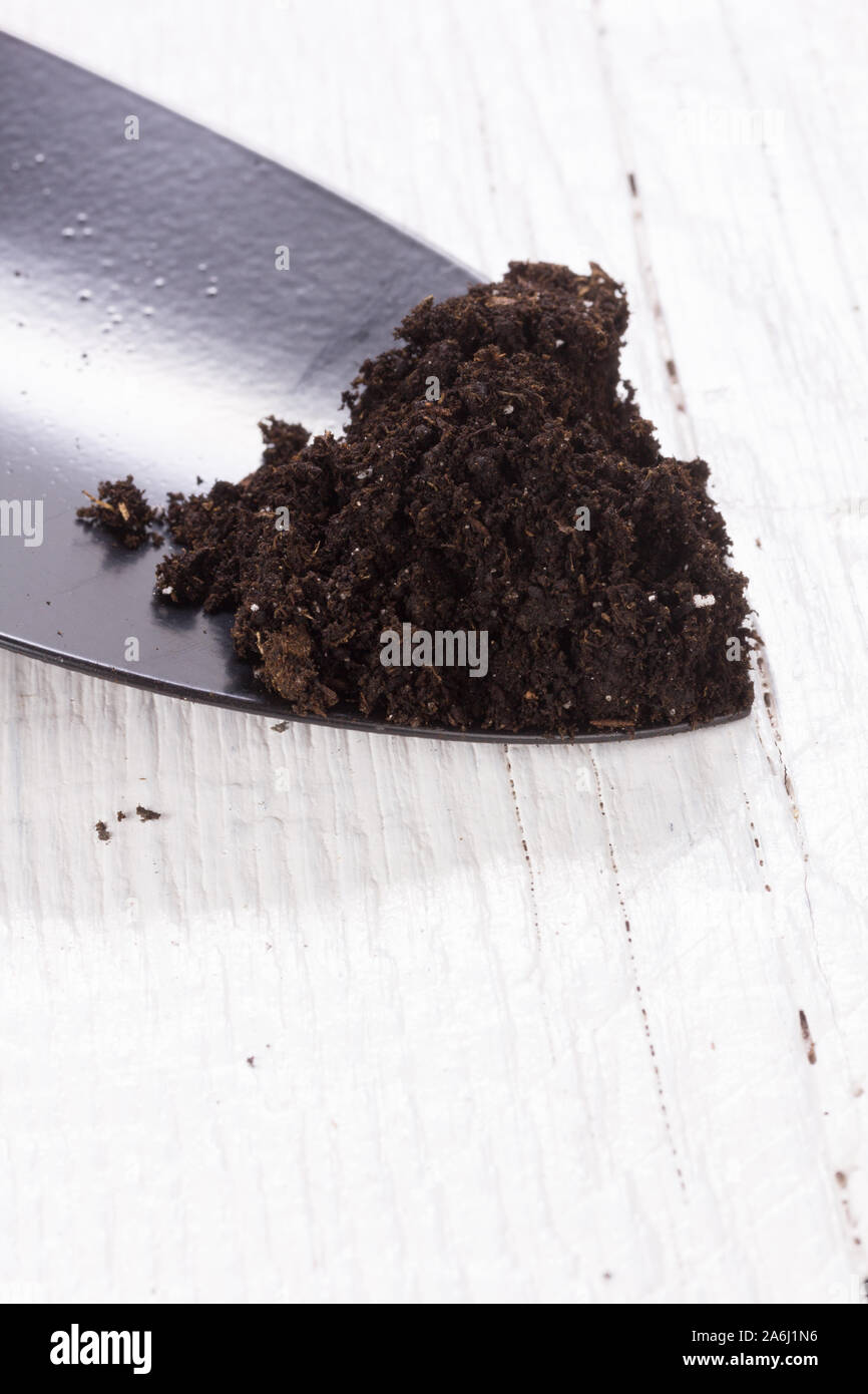 Gardening tools plants hi-res stock photography and images - Alamy