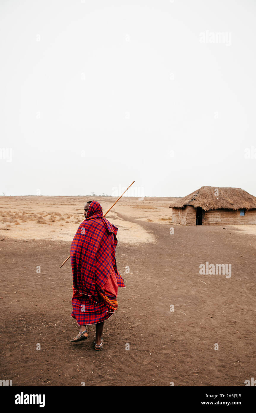 JUN 24, 2011 Serengeti, Tanzania - African Masai or Maasai tribe man in red cloth standing alone at his village in empty dusty land on cold foggy day. Stock Photo