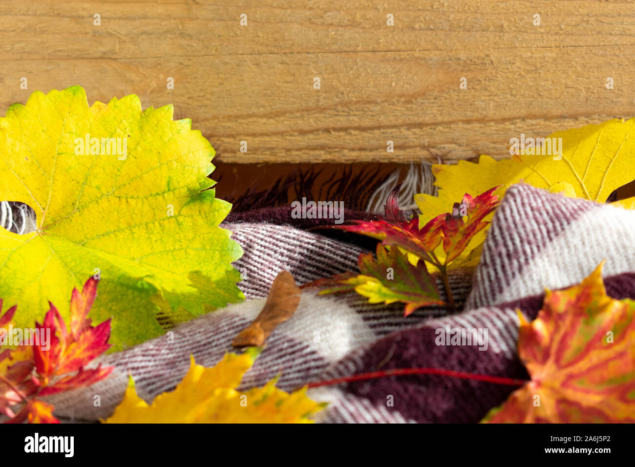 Autumnal background with leaves, scarf and copy space on wood. Stock Photo