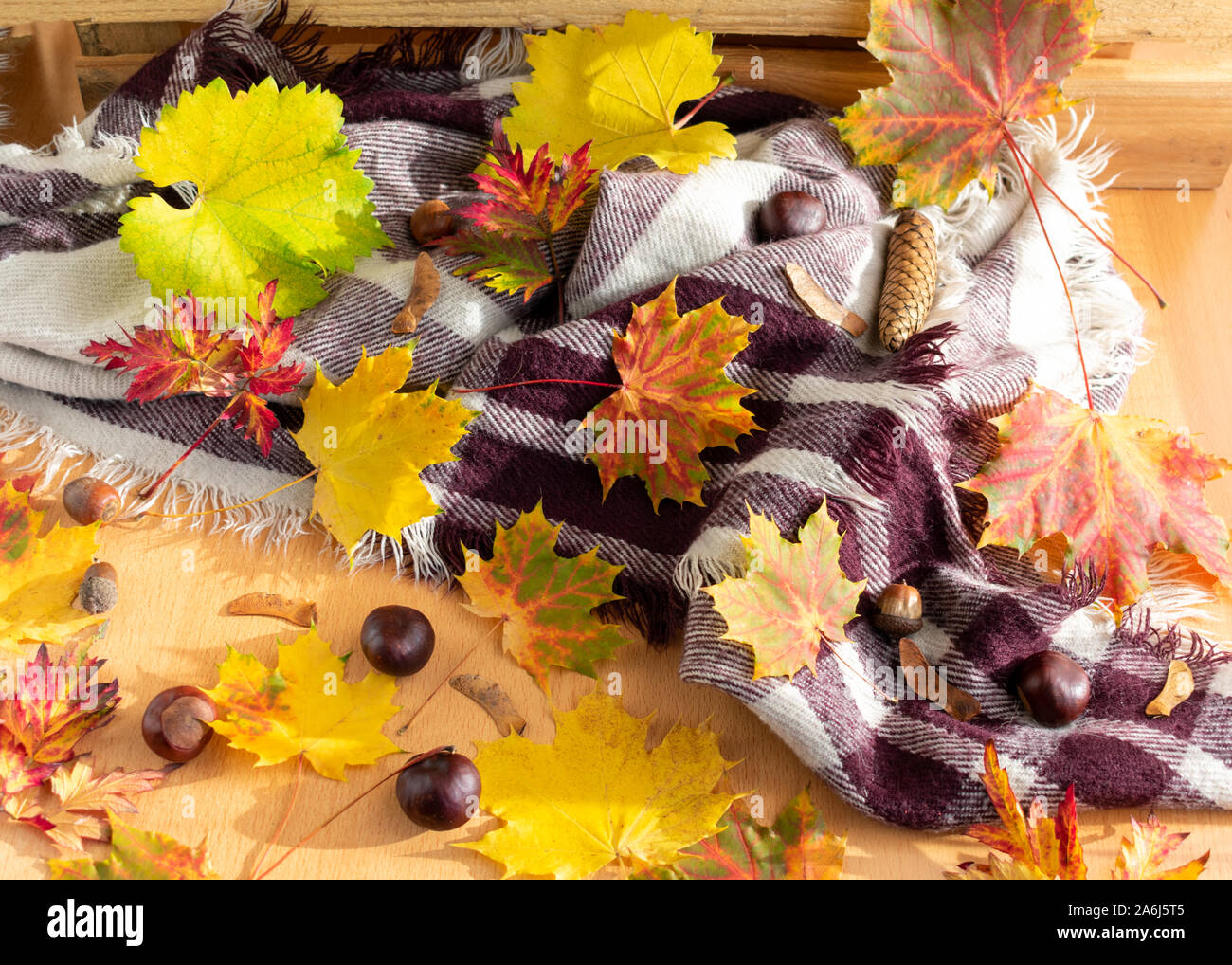 Autumnal background with leaves, winter scarf and nuts on wood Stock Photo