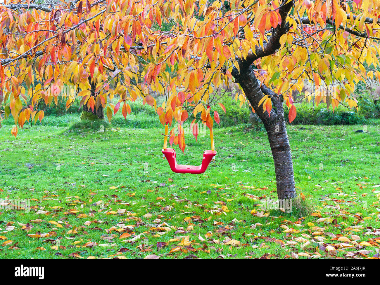 Red children's swing on the autumn sunny day Stock Photo