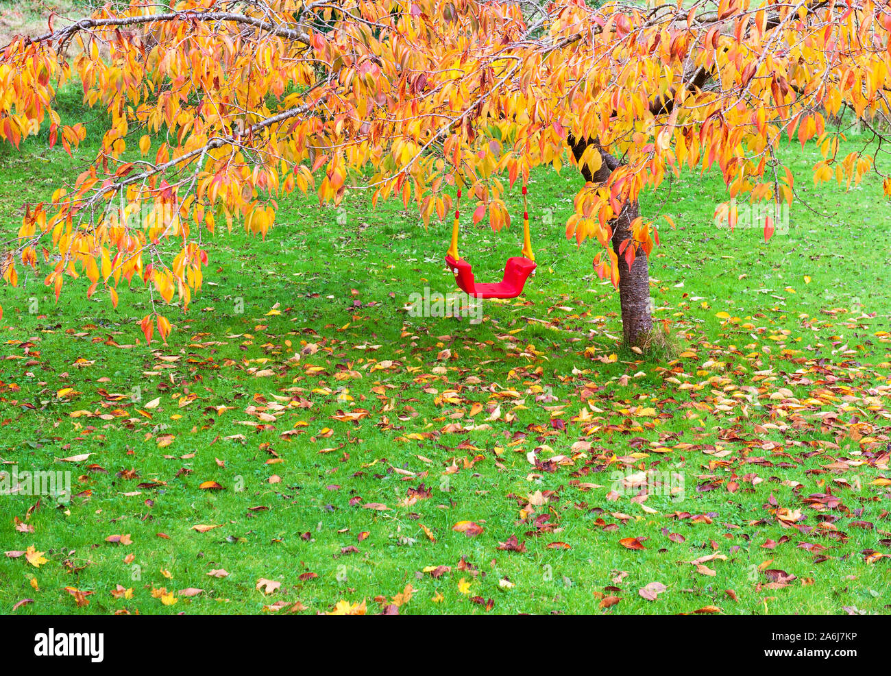 Red children's swing on the autumn sunny day Stock Photo