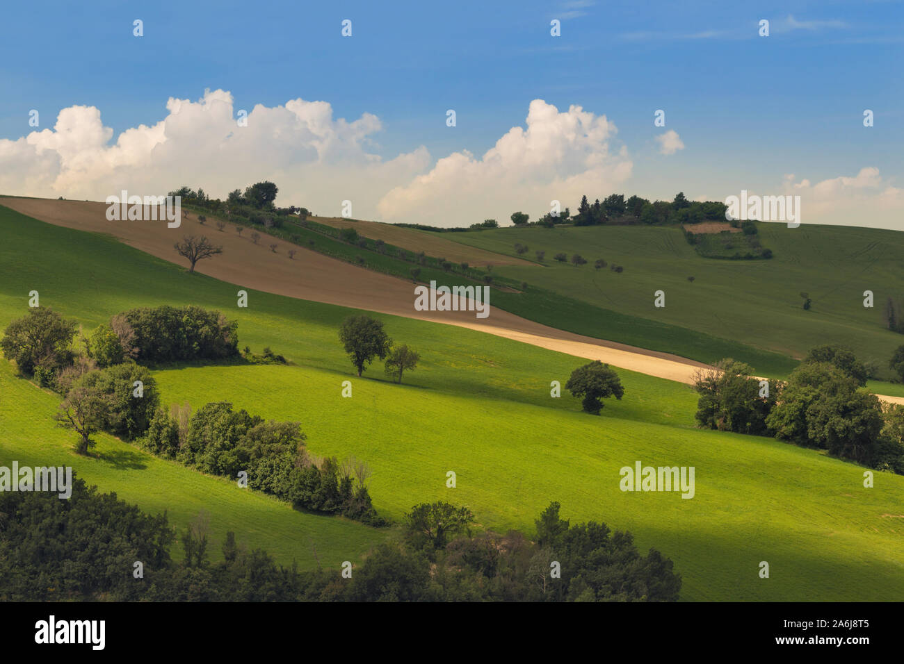 Rural landscape view green hi-res stock photography and images - Alamy