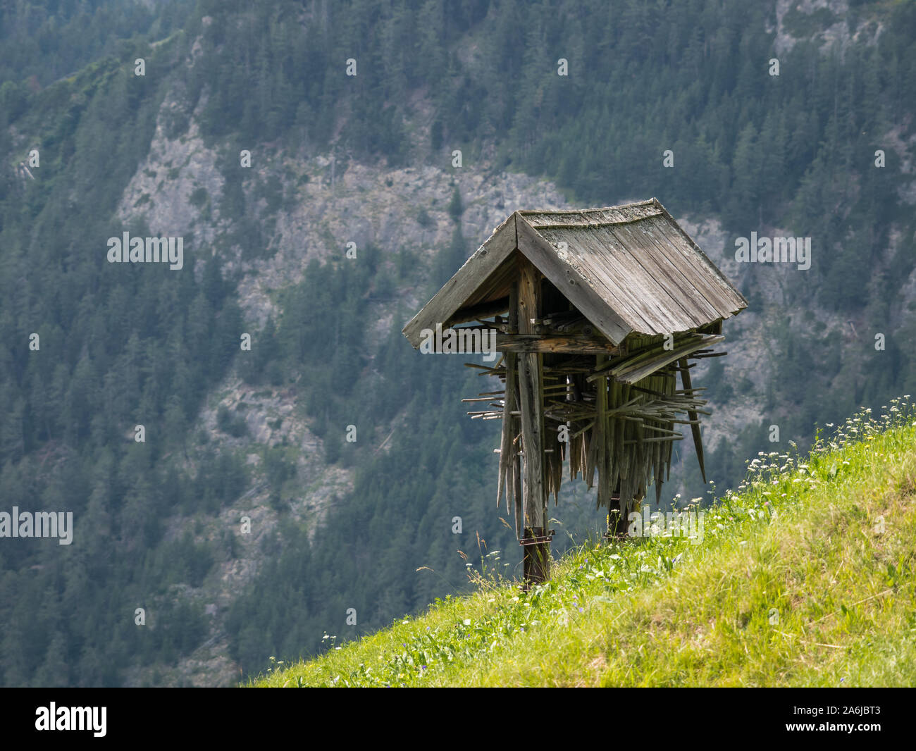 Weather-protected rack for storing haystacking tools, Pfunds-Greit, Upper Inn Valley, Tyrol, Austria Stock Photo