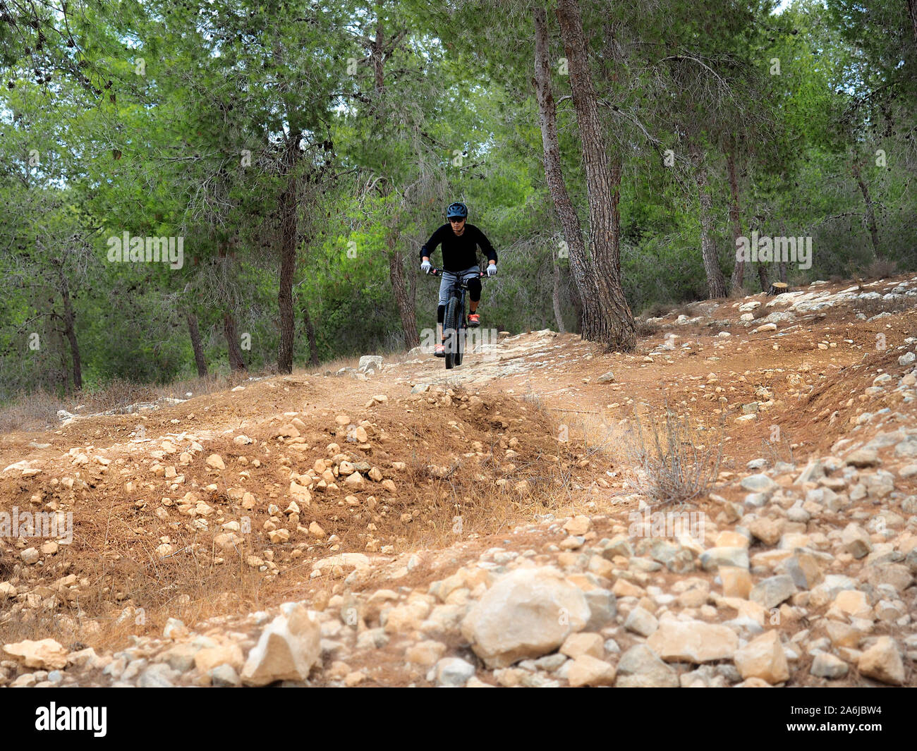 Mountain biker on a race in the forest. Blurred parts. Stock Photo