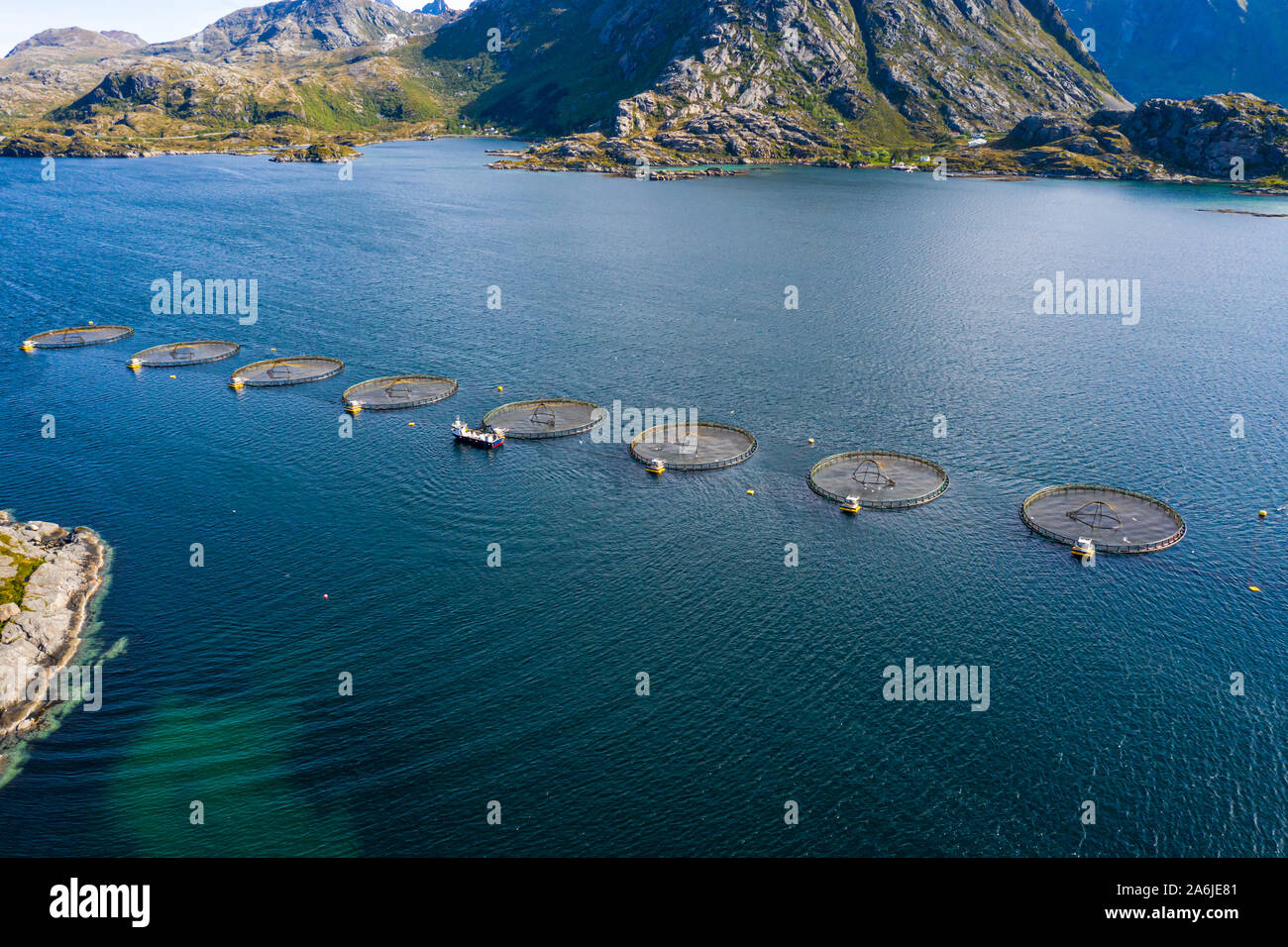 Farm salmon fishing in Norway. Norway is the biggest producer of farmed salmon in the world, with more than one million tonnes produced each year. Stock Photo