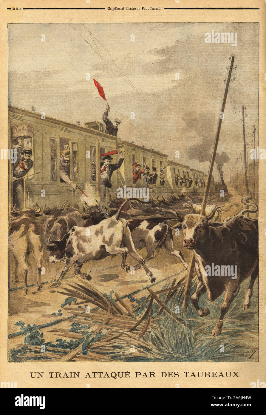Un train attaque par des taureaux en Espagne. Gravure in 'Le petit journal' 18/08/1895. Collection de . . Stock Photo