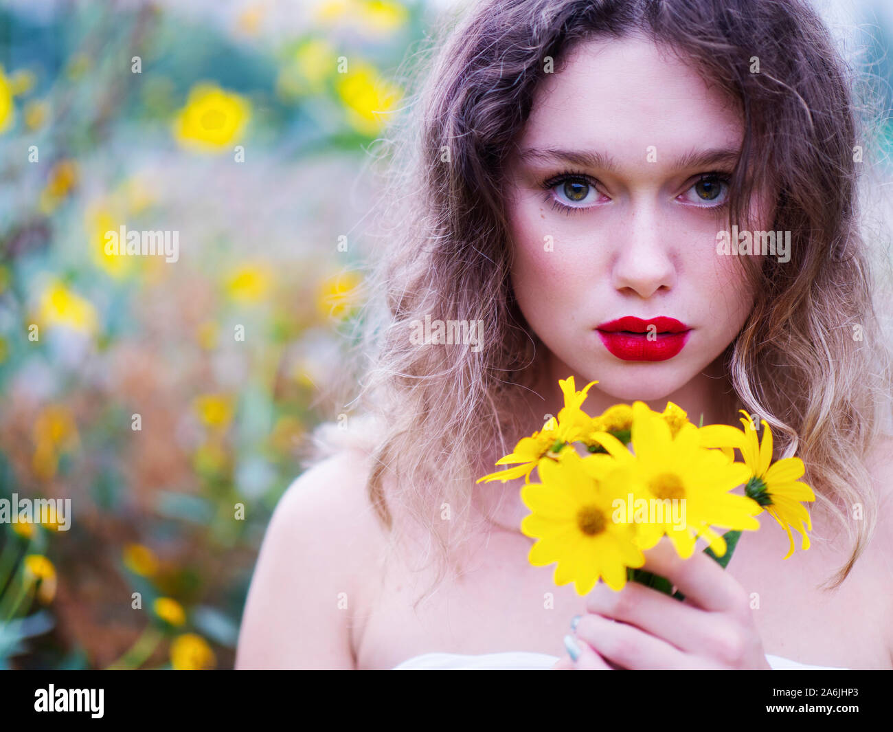 Beautiful book cover design flowers hires stock photography and images