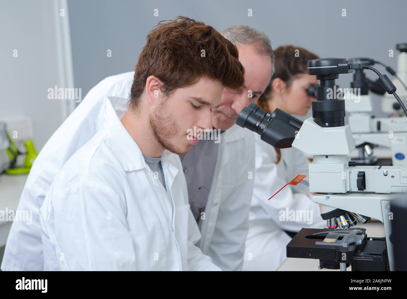 concept of student on laboratory observation Stock Photo Alamy