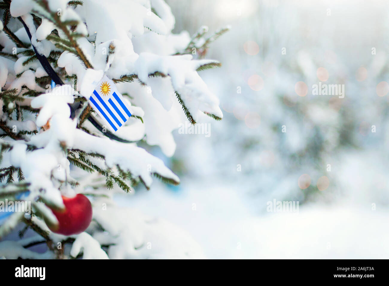 Christmas Uruguay. Xmas tree covered with snow, decorations and a flag. Snowy forest background