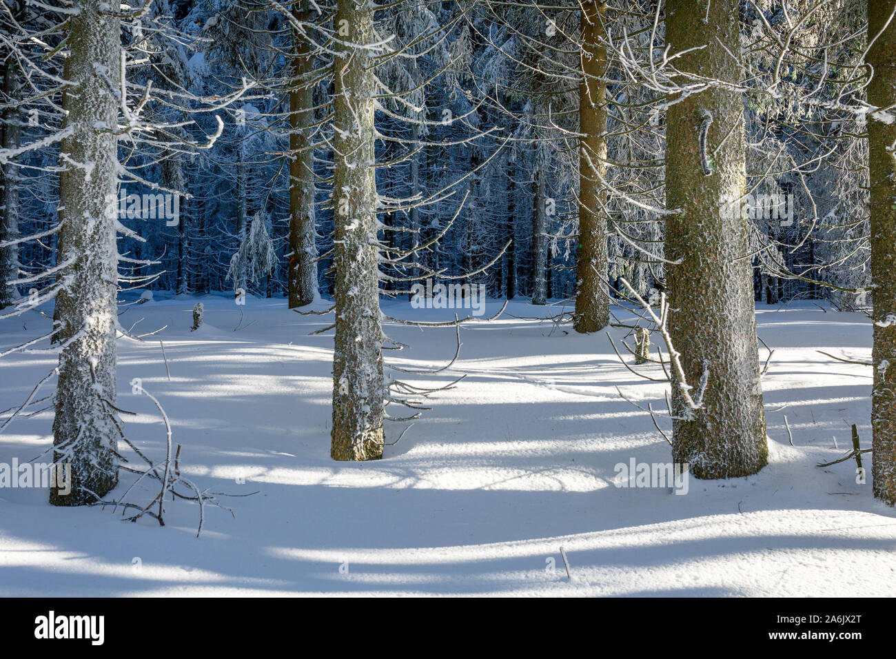 view of a winter landscape Thuringian Forest, Oberhof, Rennsteig Stock Photo