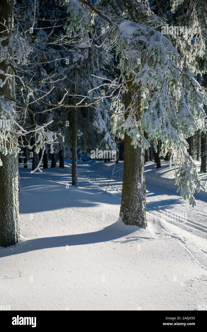 view of a winter landscape Thuringian Forest, Oberhof, Rennsteig Stock Photo